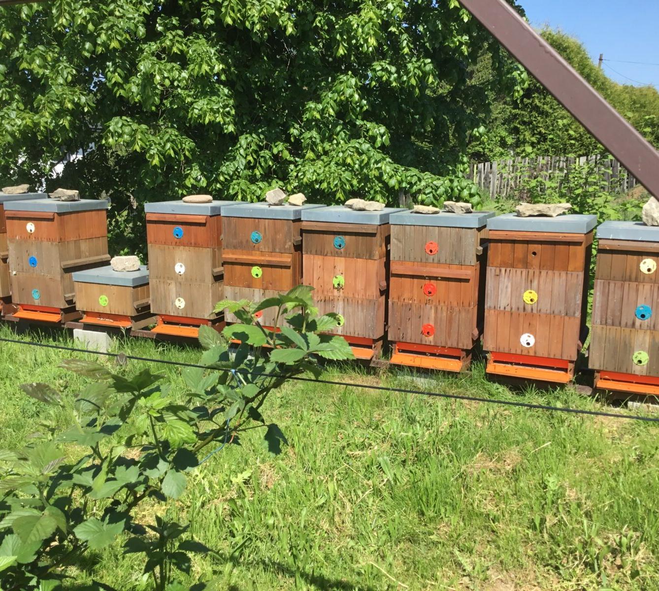 Dětský den a projektový "Den se včelami" ve třetí třídě - 34