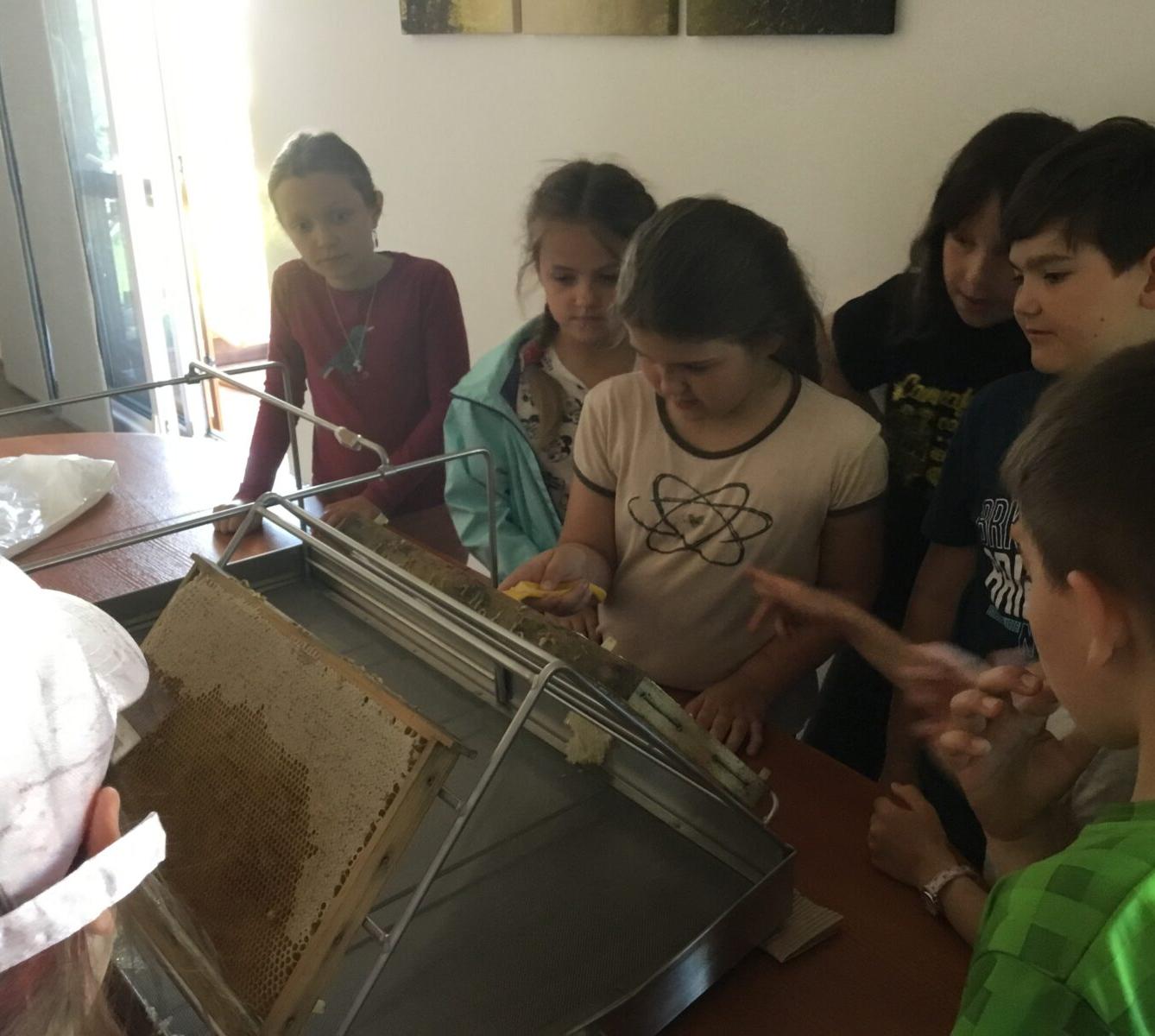 Dětský den a projektový "Den se včelami" ve třetí třídě - 38