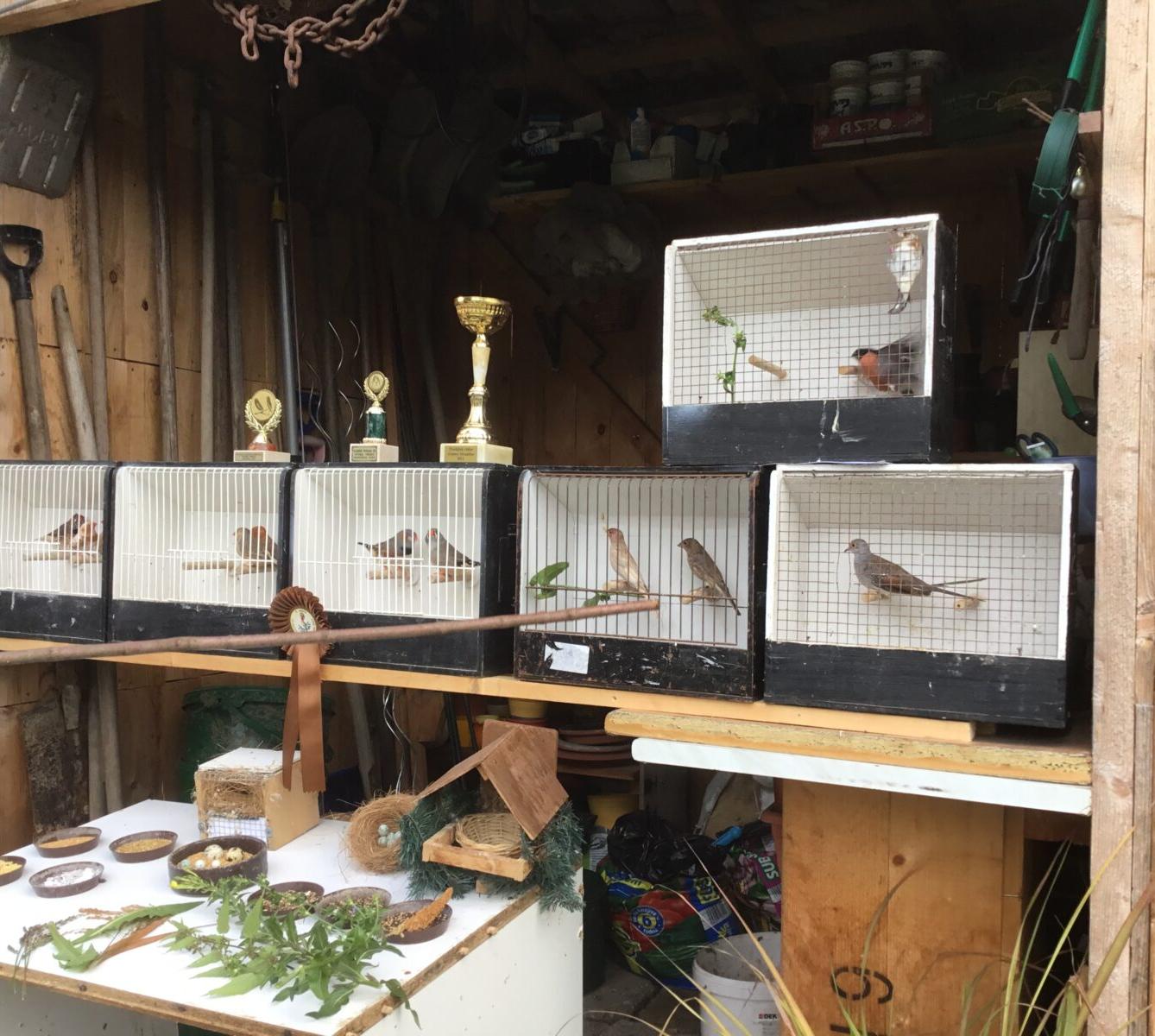 Netradiční tělocvik v 1. třídě - 2