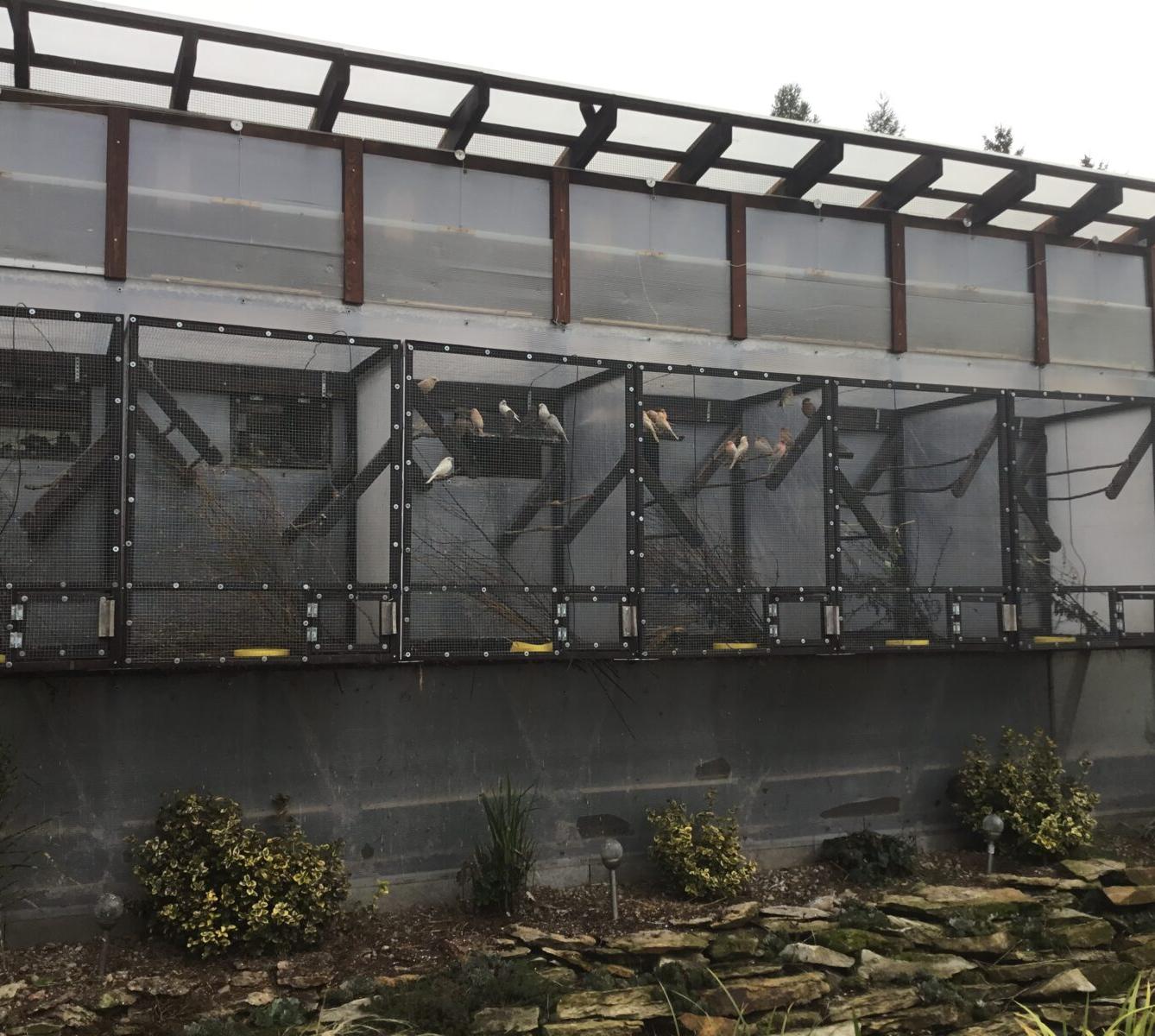 Netradiční tělocvik v 1. třídě - 14