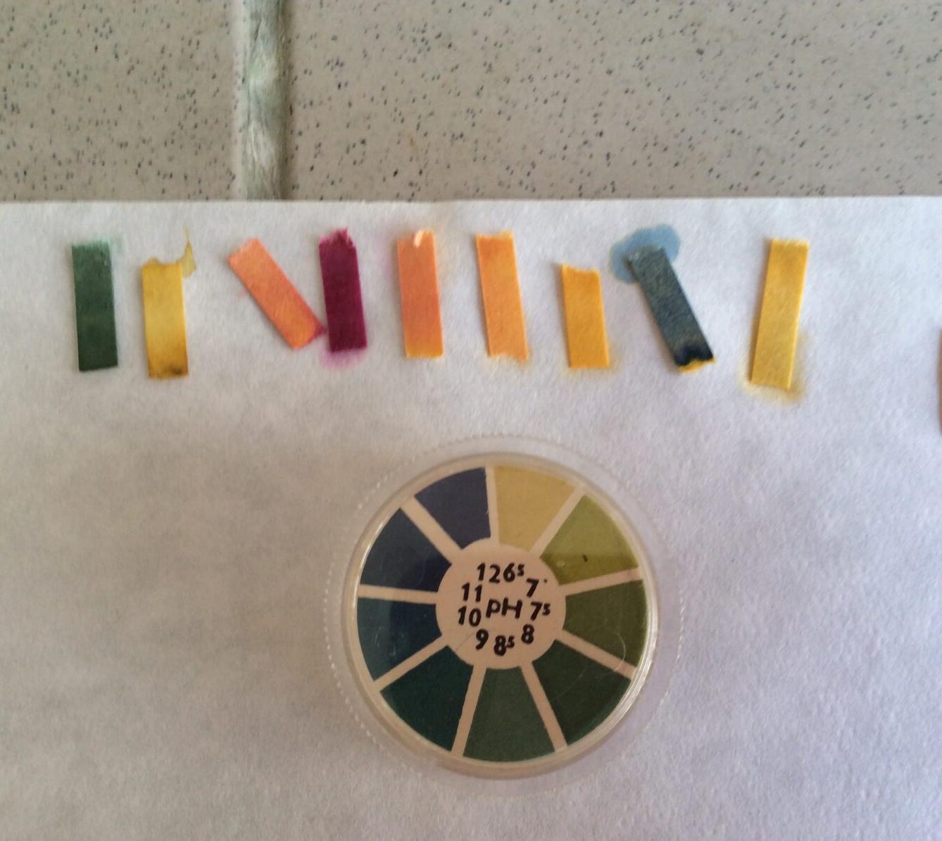 Projektový den na Gymnáziu Ústí nad Orlicí - 20