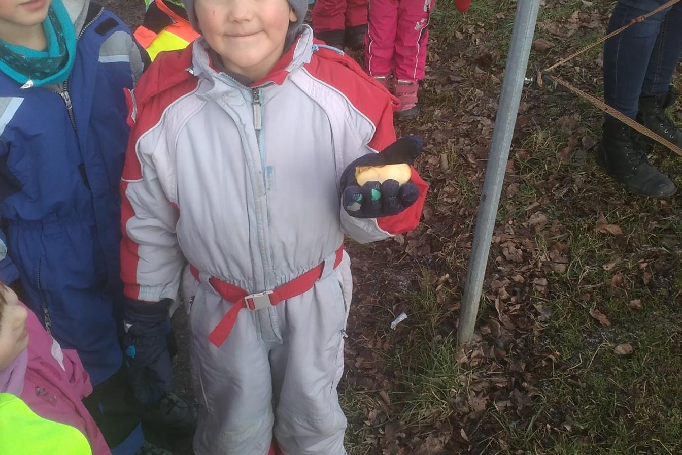 Vycházka ke koníčkovi aneb "máme rádi zvířata"