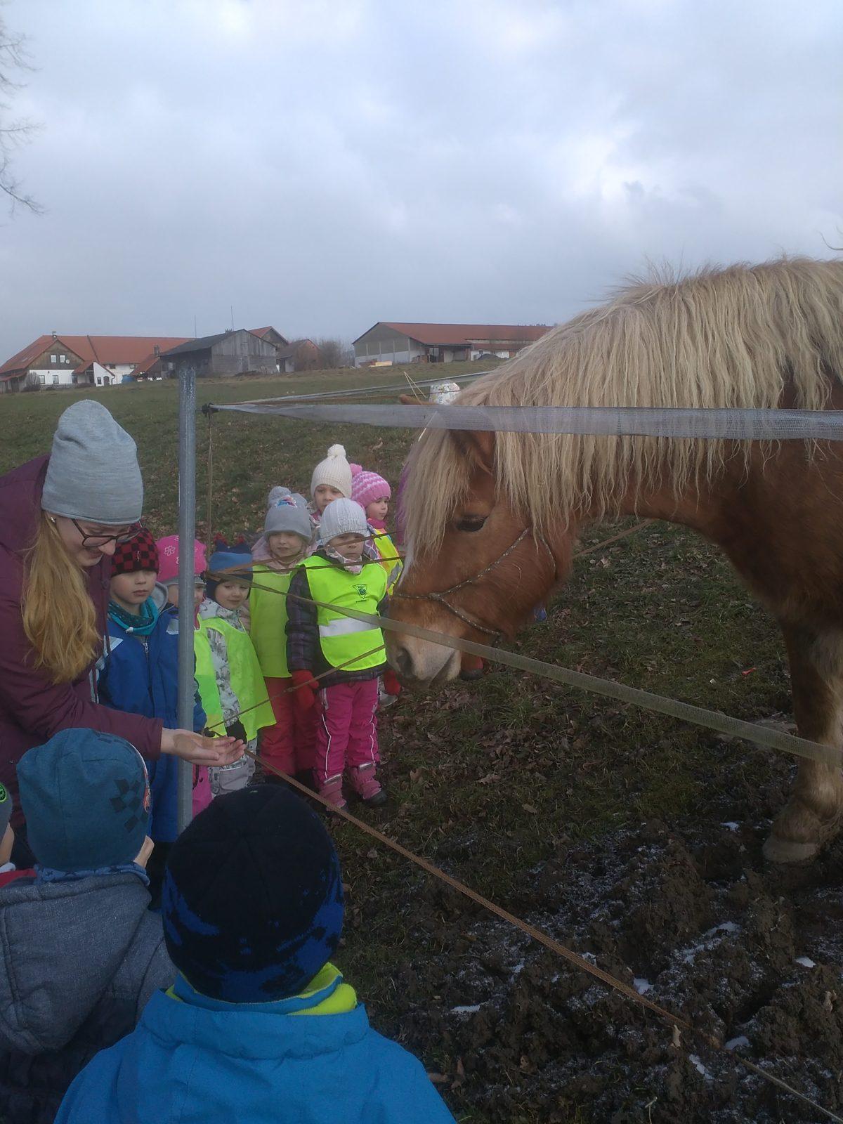 Vycházka ke koníčkovi aneb "máme rádi zvířata" - 4