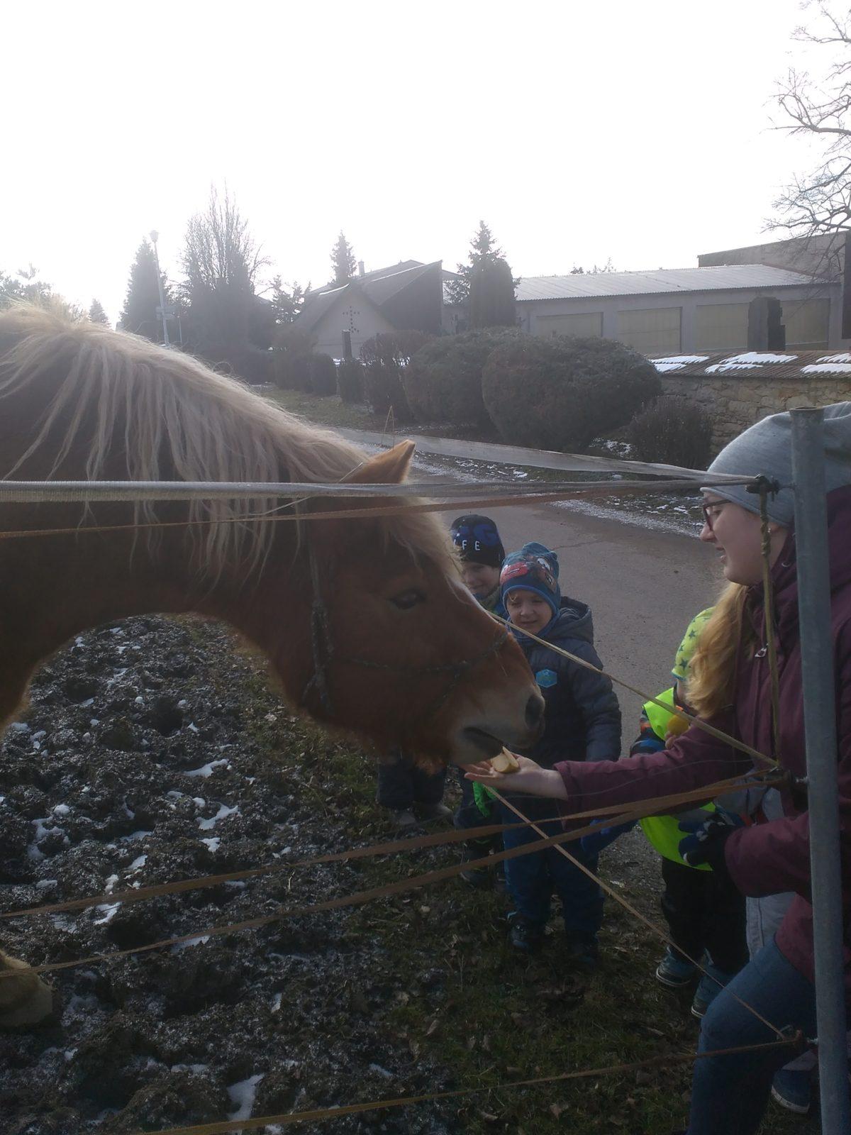 Vycházka ke koníčkovi aneb "máme rádi zvířata" - 8