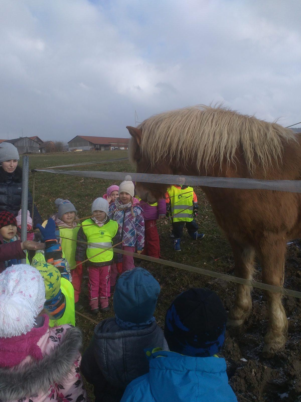 Vycházka ke koníčkovi aneb "máme rádi zvířata" - 11