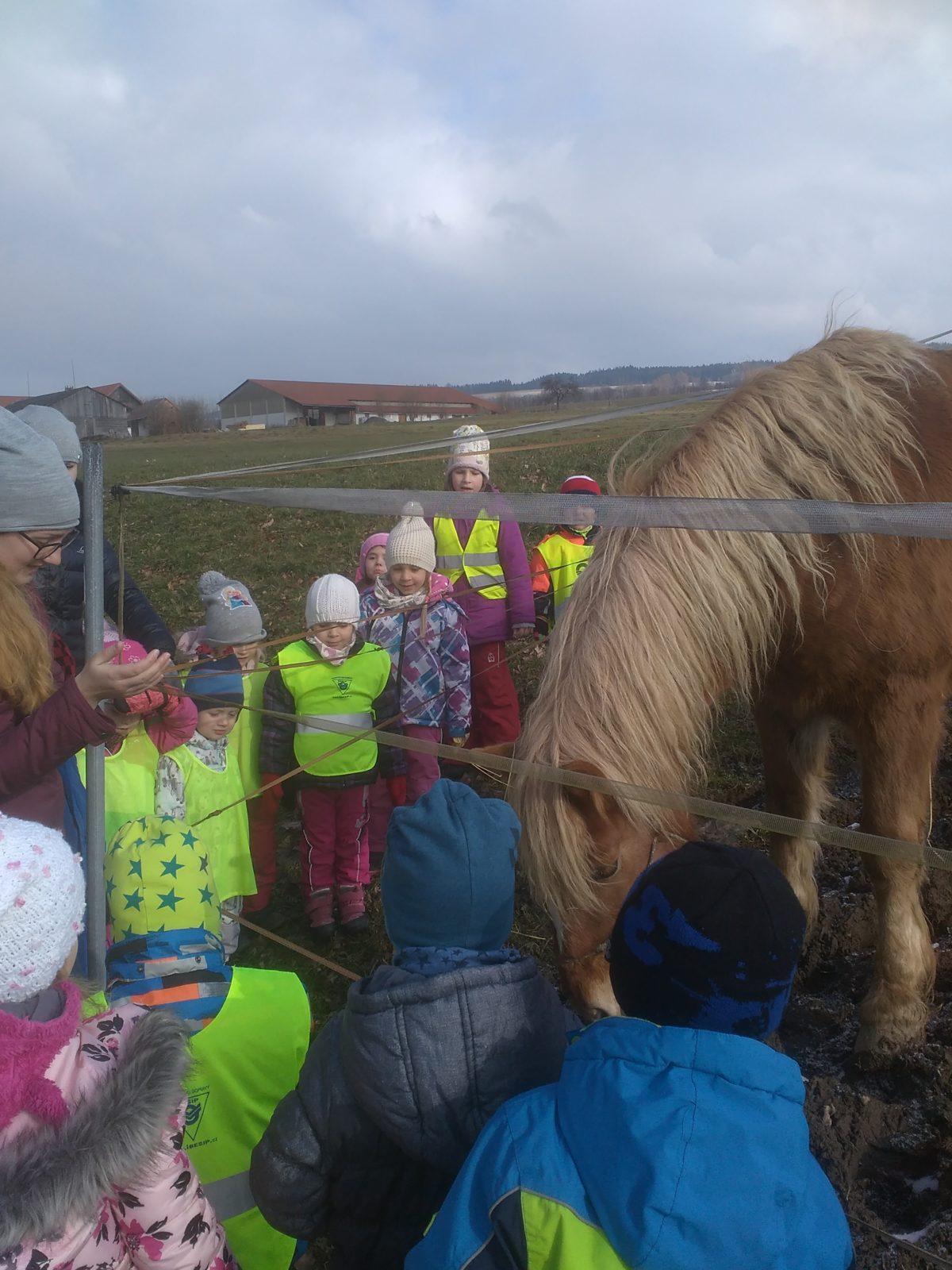 Vycházka ke koníčkovi aneb "máme rádi zvířata" - 12