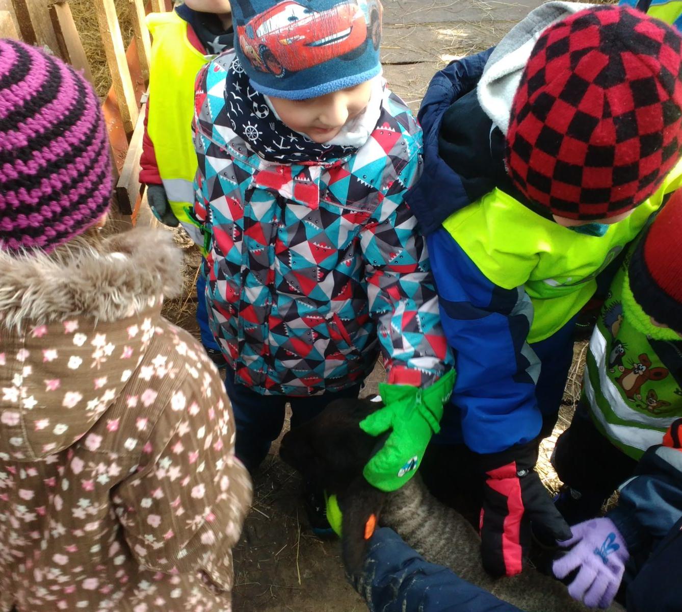 Vycházka za ovečkami a jejich jehňátky - 3