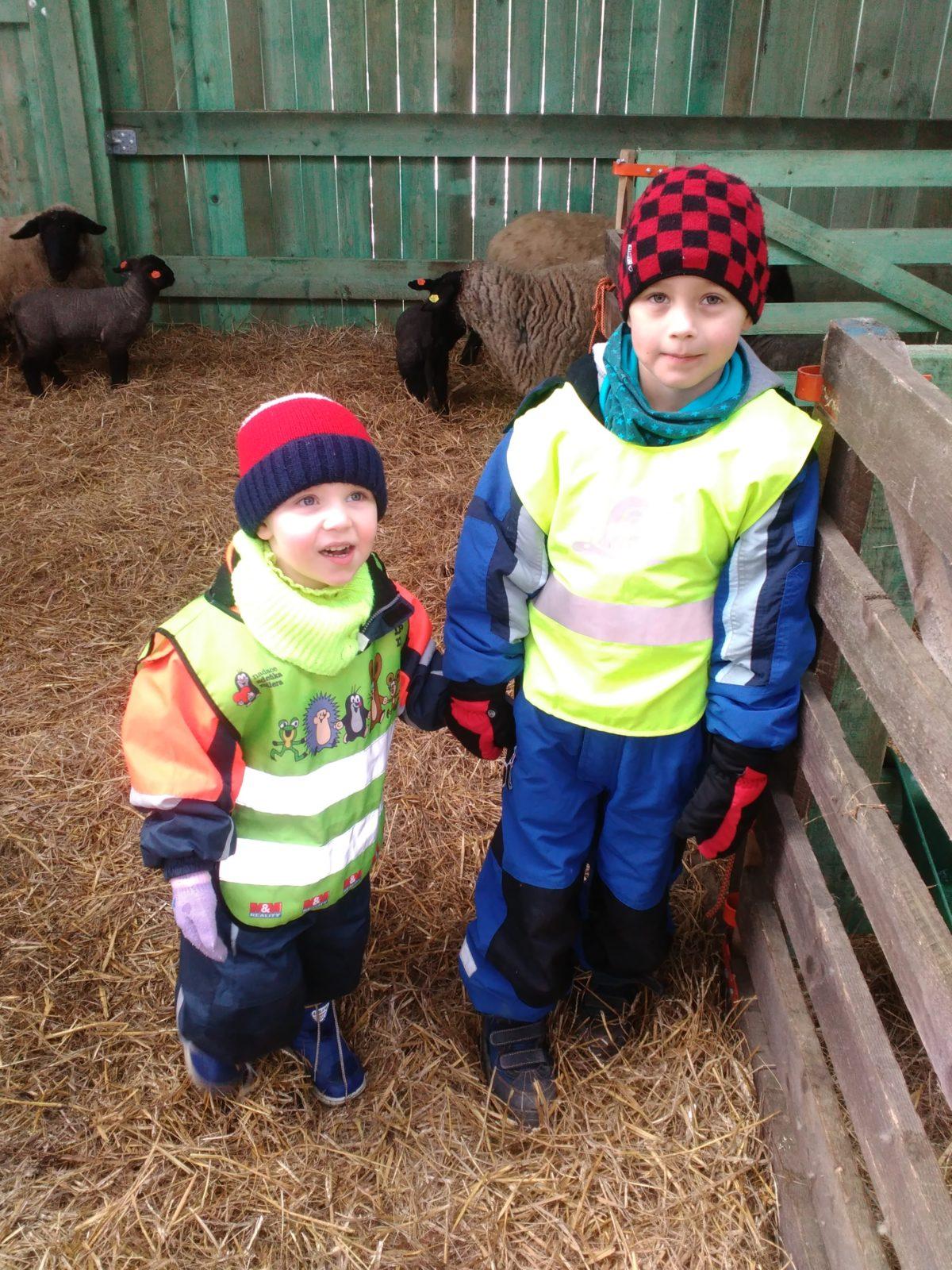 Vycházka za ovečkami a jejich jehňátky - 14