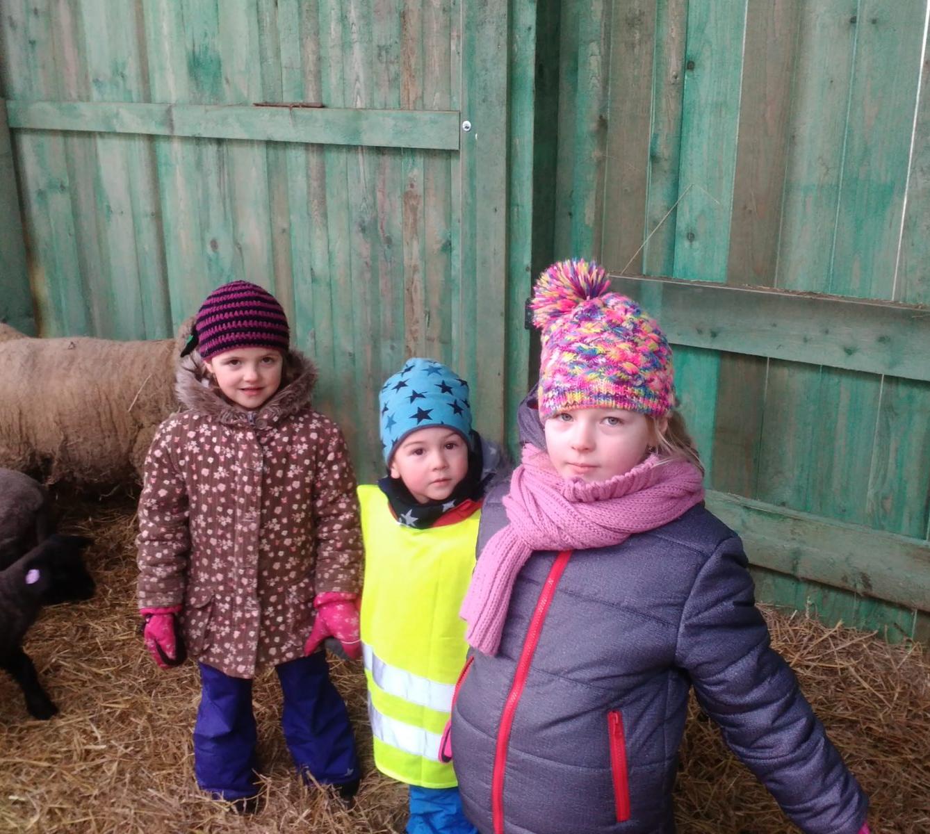 Vycházka za ovečkami a jejich jehňátky - 20