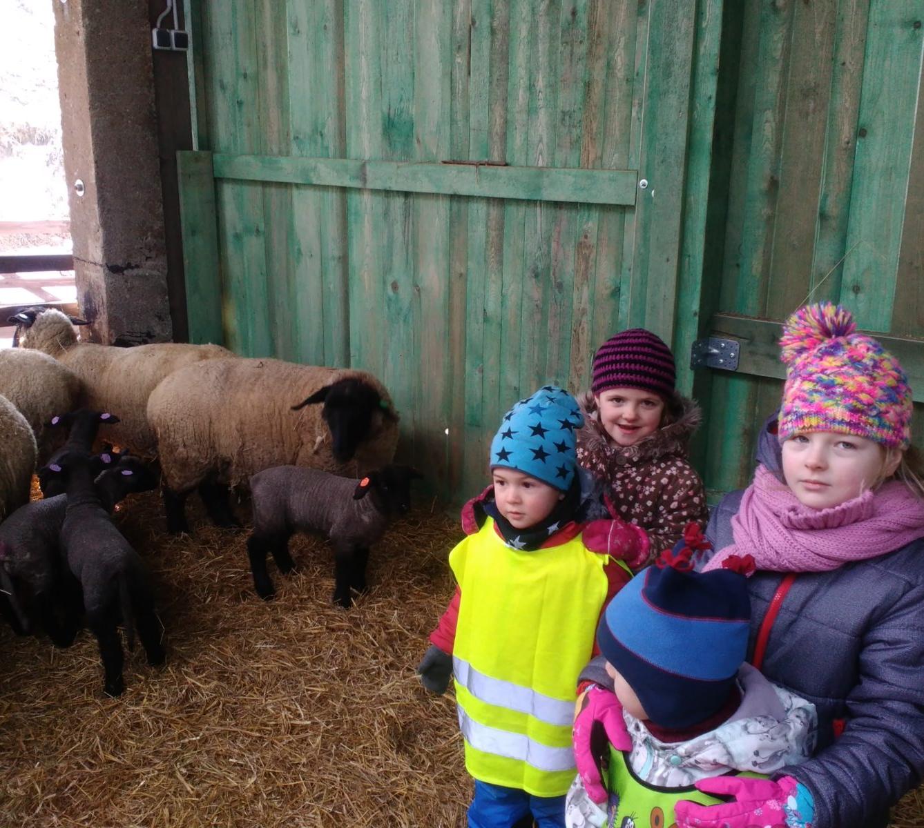 Vycházka za ovečkami a jejich jehňátky - 21