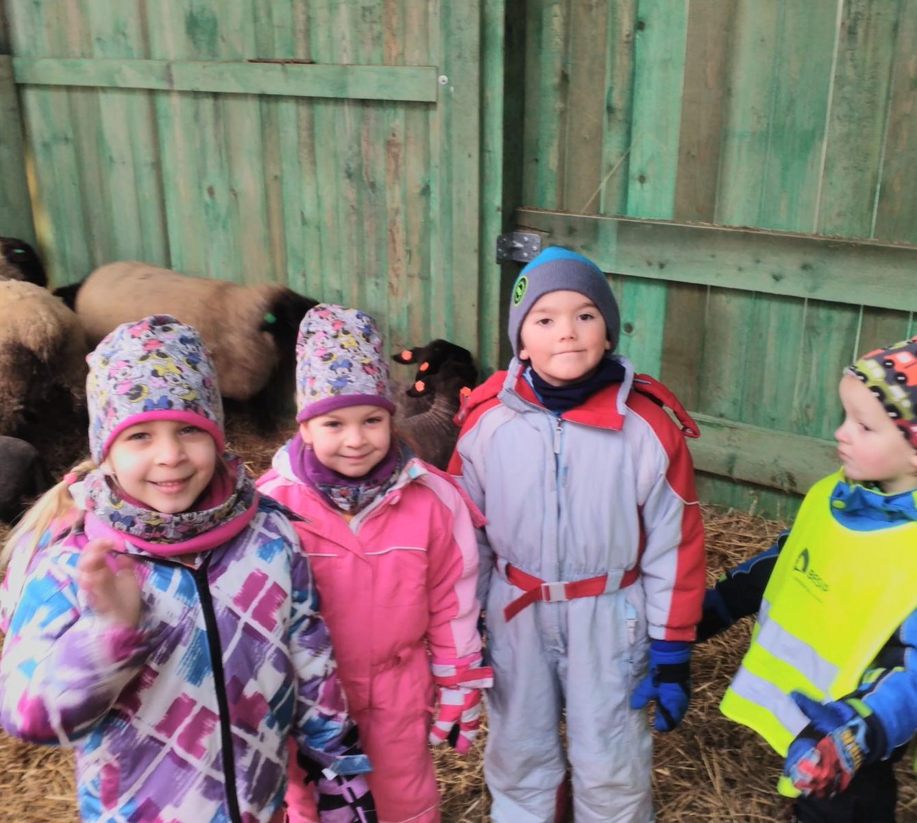 Vycházka za ovečkami a jejich jehňátky - 23