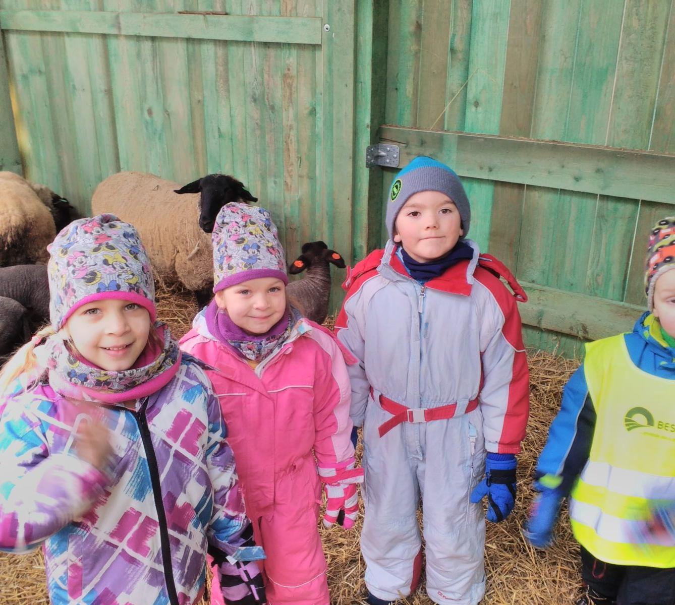 Vycházka za ovečkami a jejich jehňátky - 24