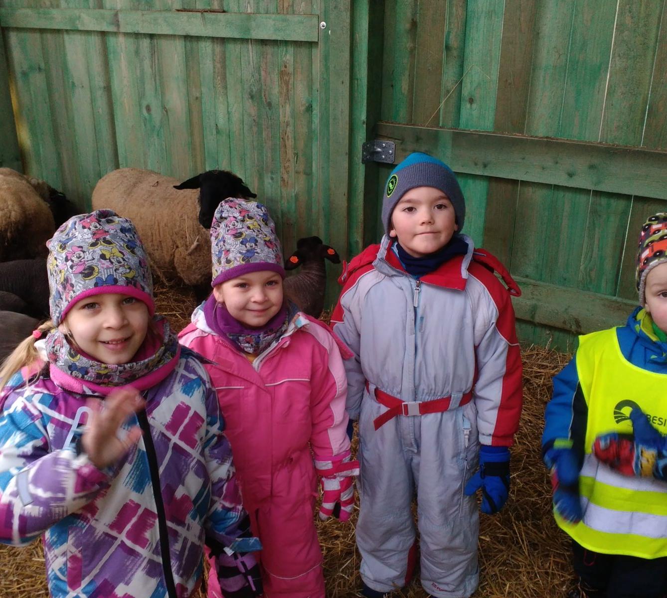 Vycházka za ovečkami a jejich jehňátky - 25