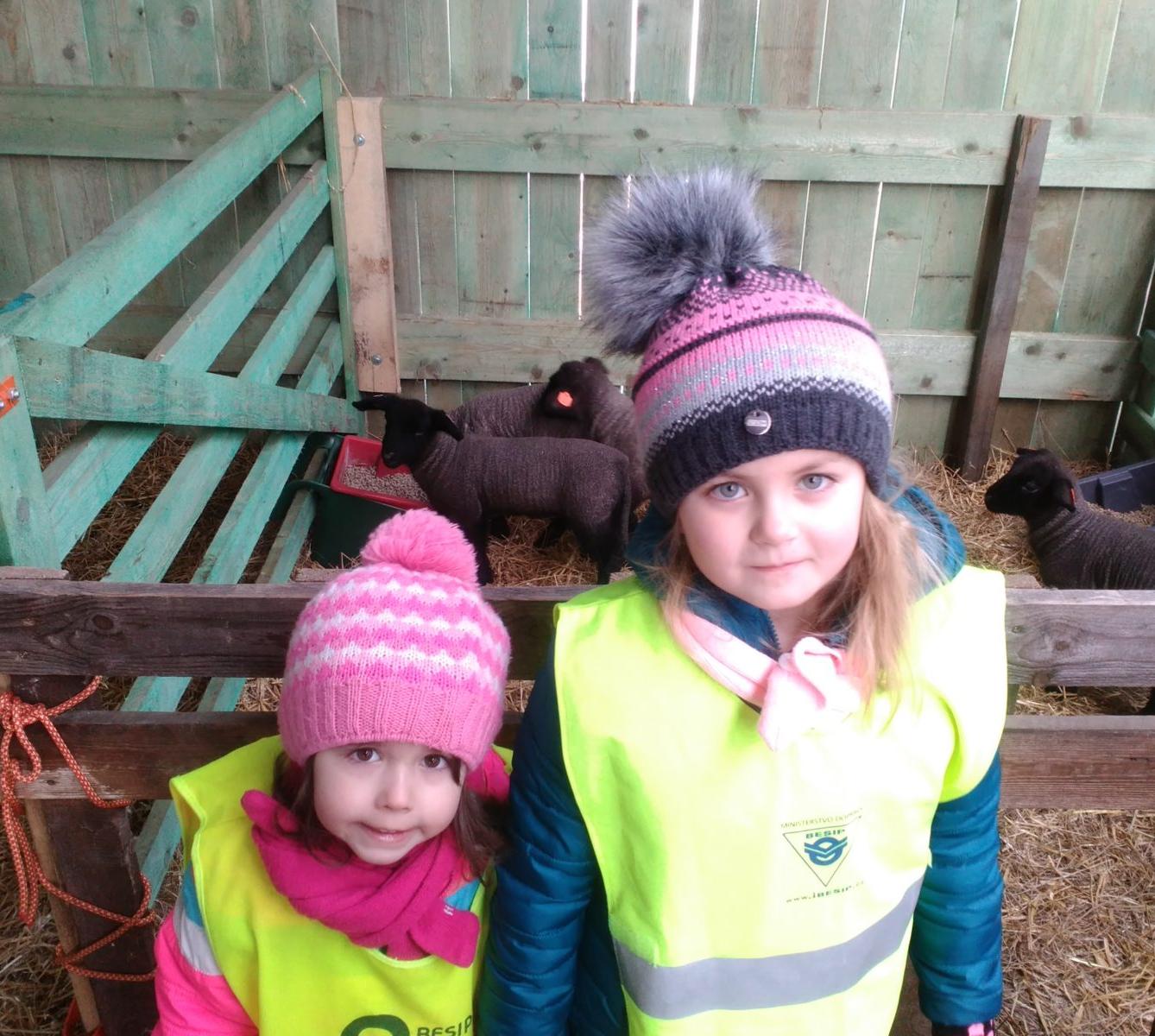 Vycházka za ovečkami a jejich jehňátky - 26