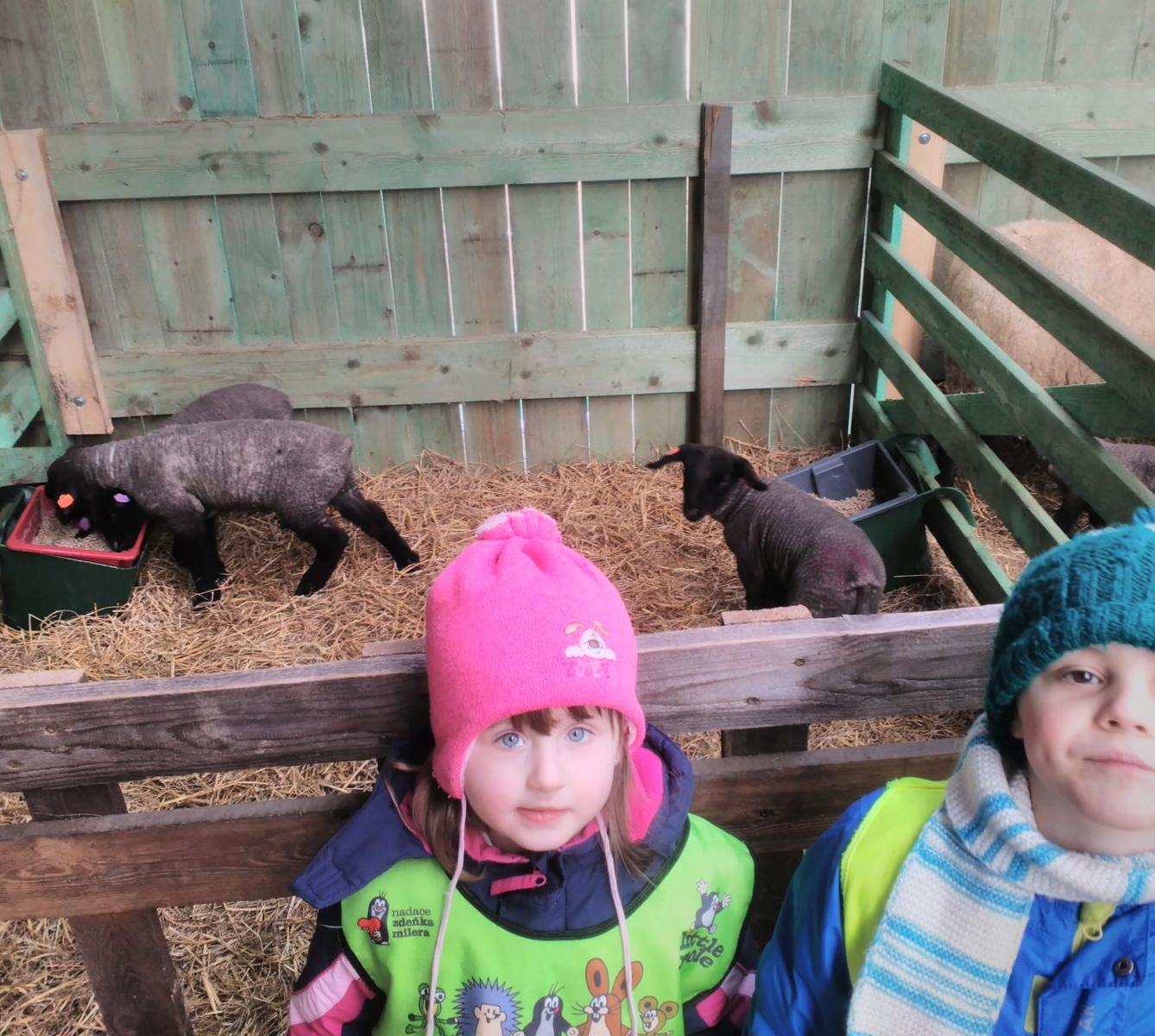 Vycházka za ovečkami a jejich jehňátky - 27