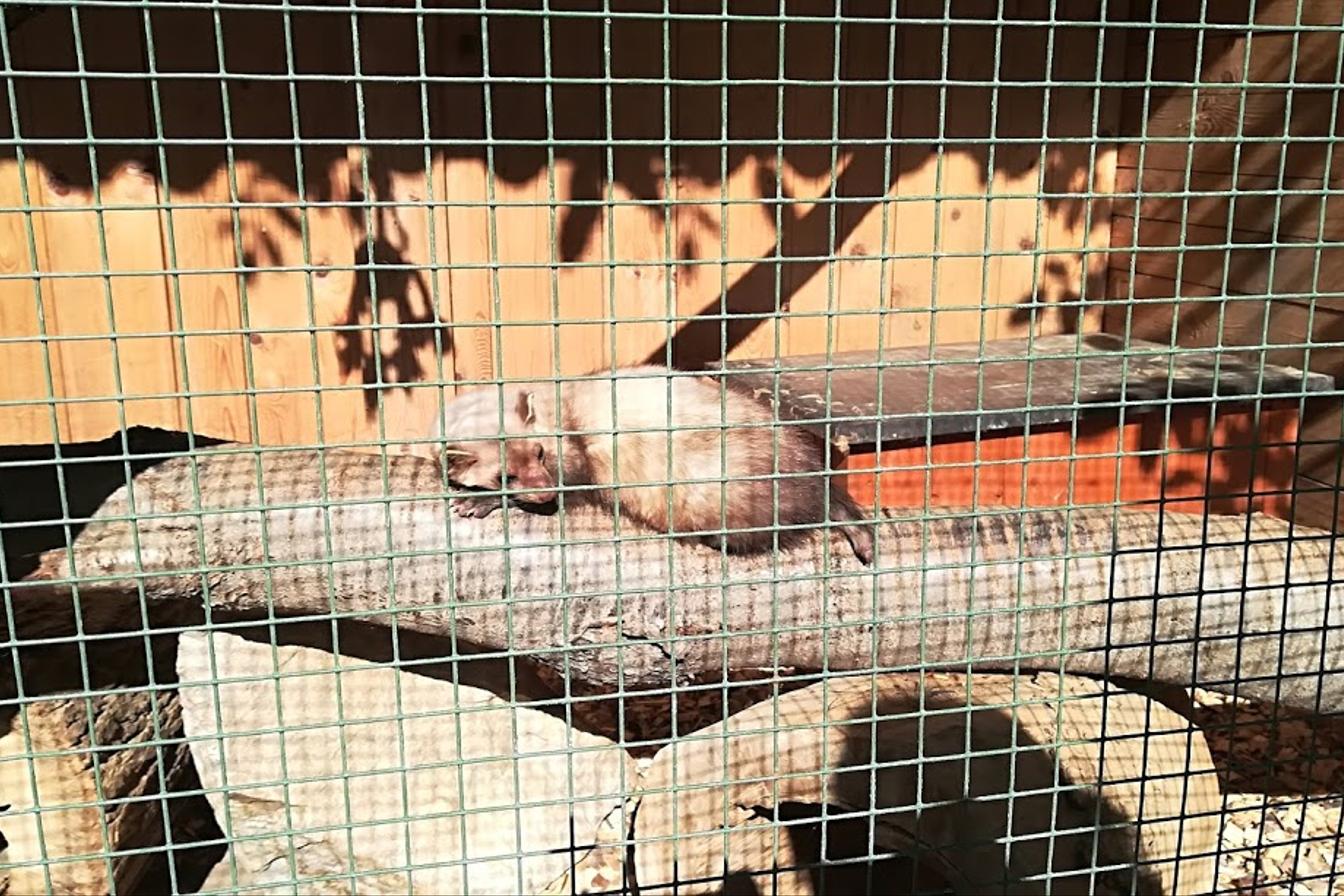 ŠKOLA V PŘÍRODĚ - DEN 2.