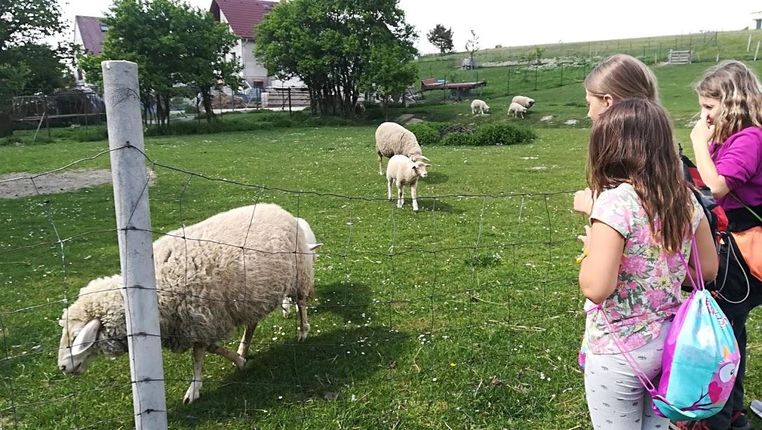 ŠKOLA V PŘÍRODĚ - DEN 4. - 31