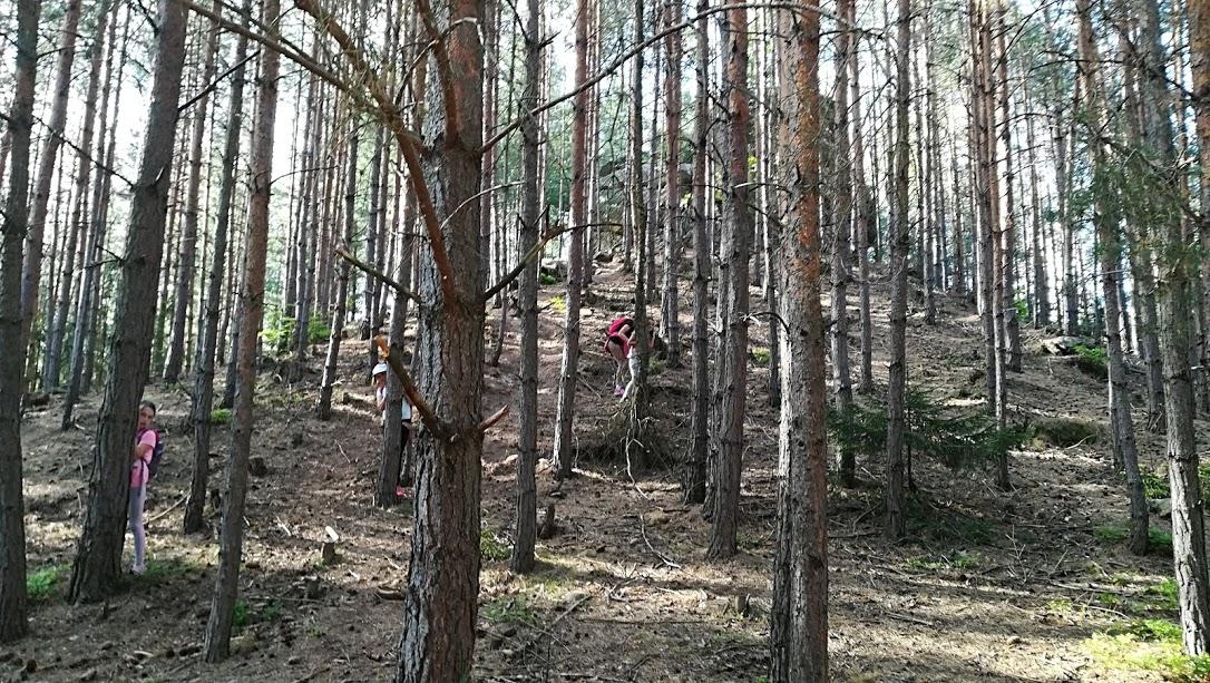 ŠKOLA V PŘÍRODĚ - DEN 4. - 42