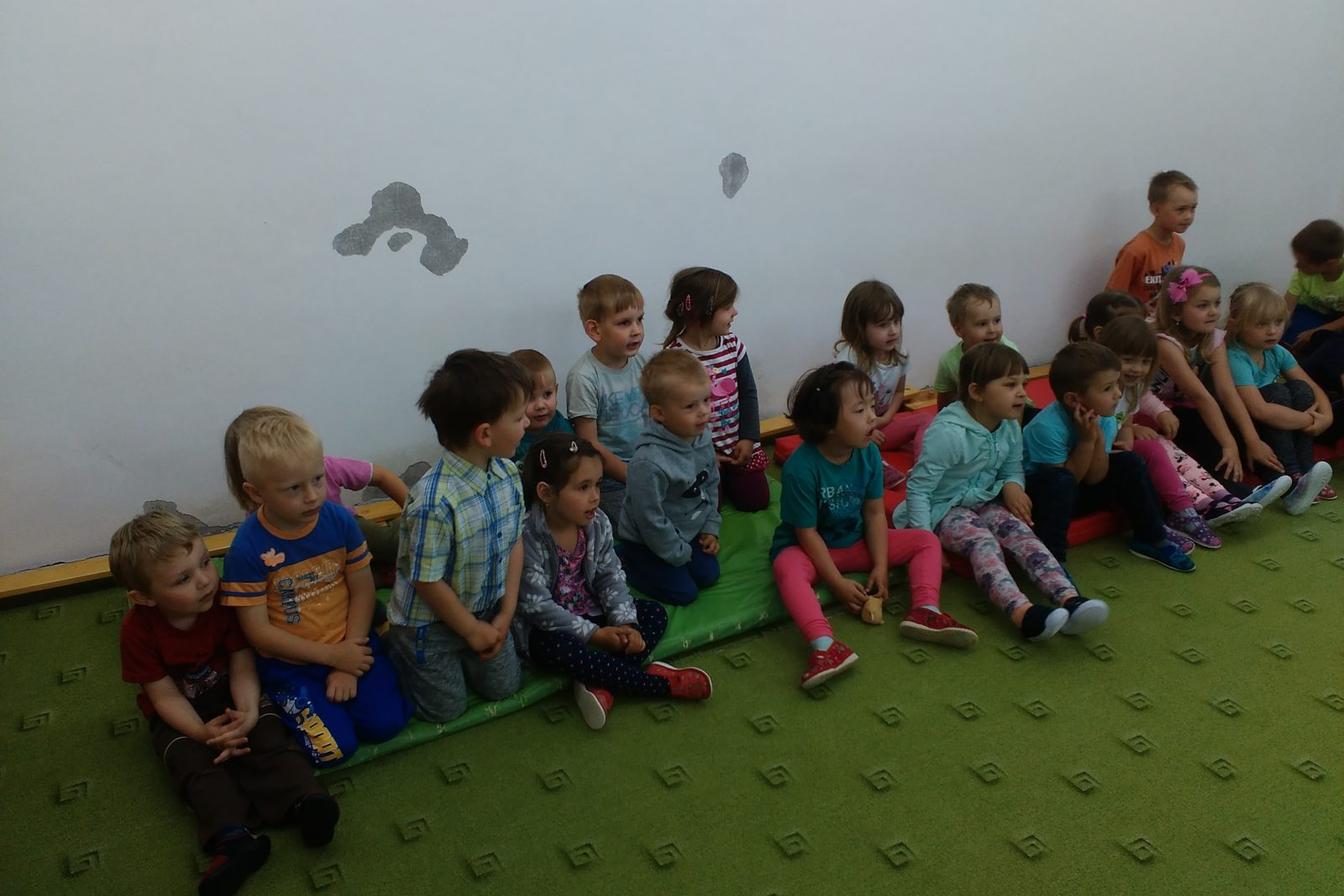 Papoušci ve školce