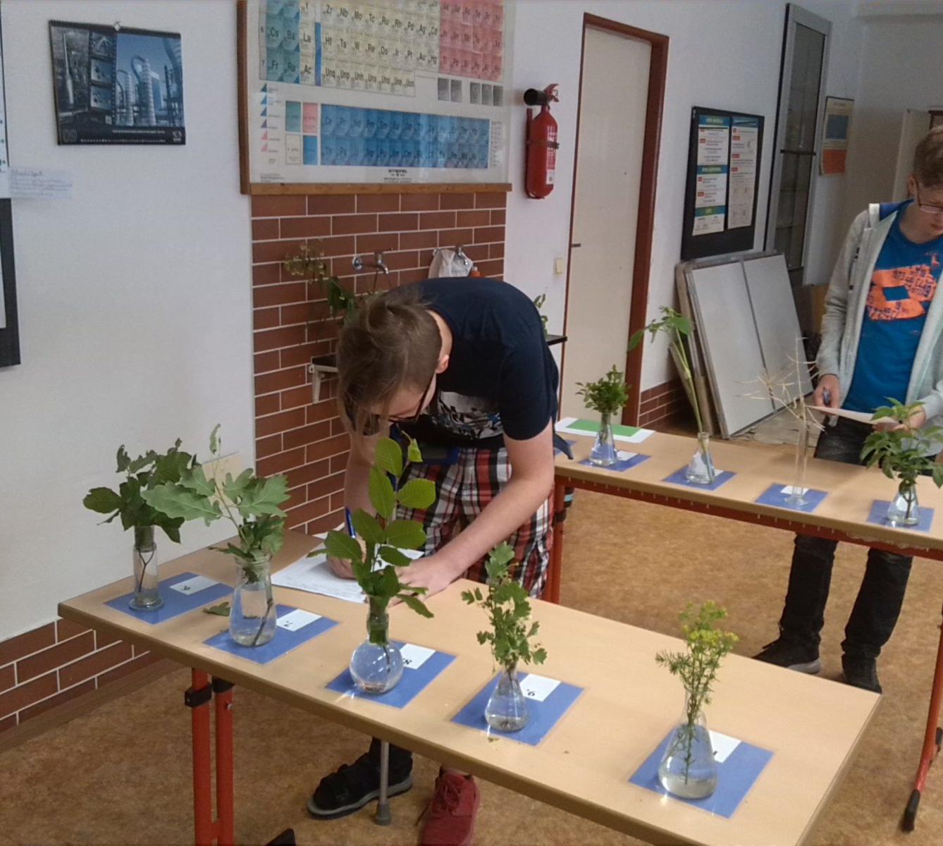 Regionální kolo soutěže v poznávání rostlin, živočichů a minerálů 2018 – II. stupeň - 1