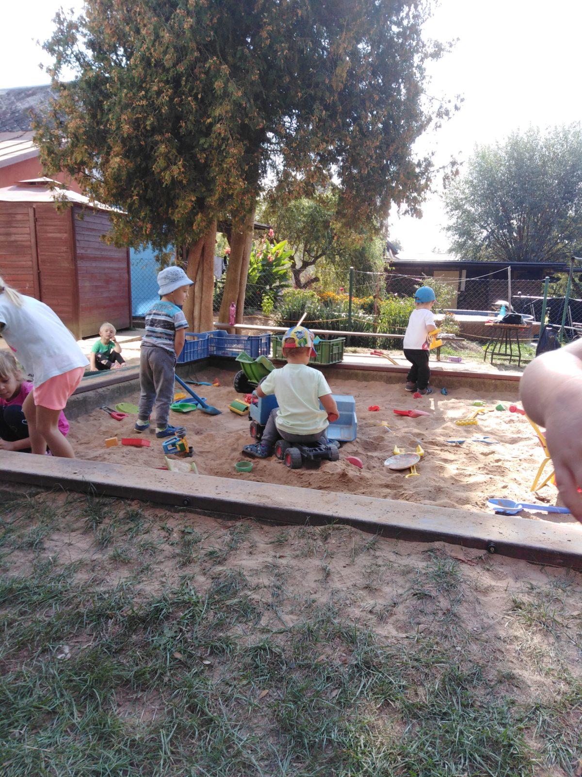 UŽÍVÁME SI ZAHRADY - 4