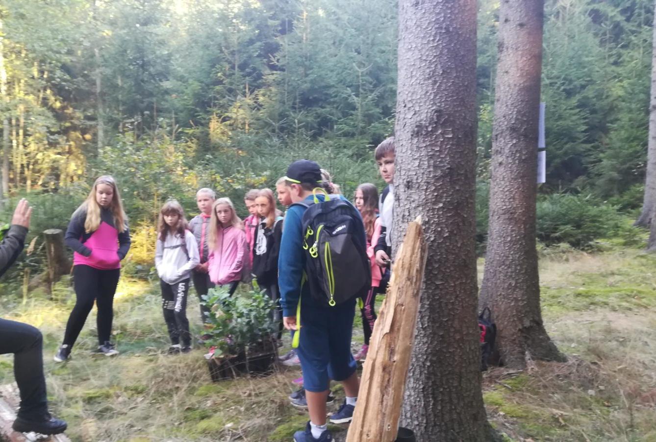 Do lesa s lesníkem - 13