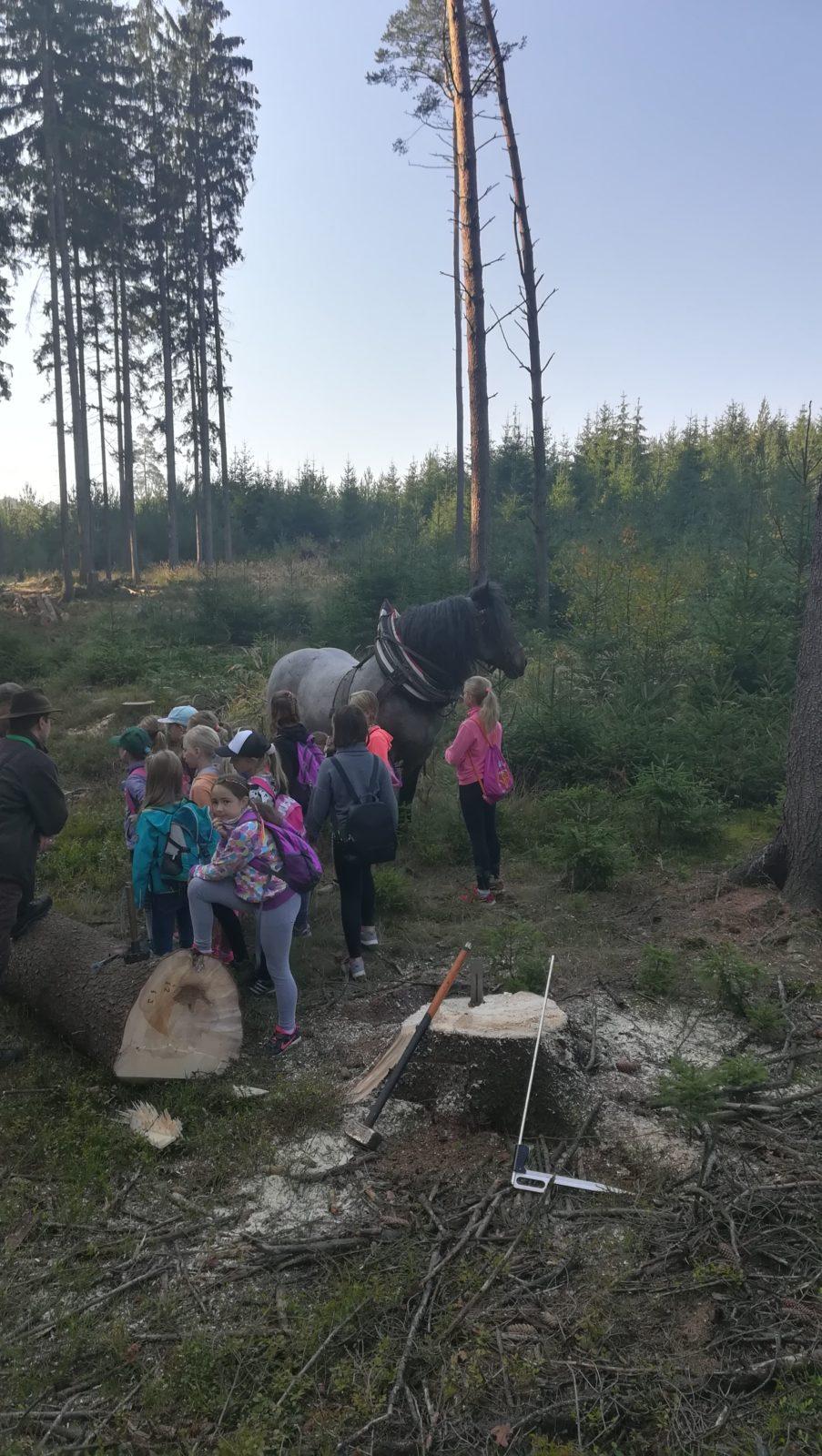 Do lesa s lesníkem - 25