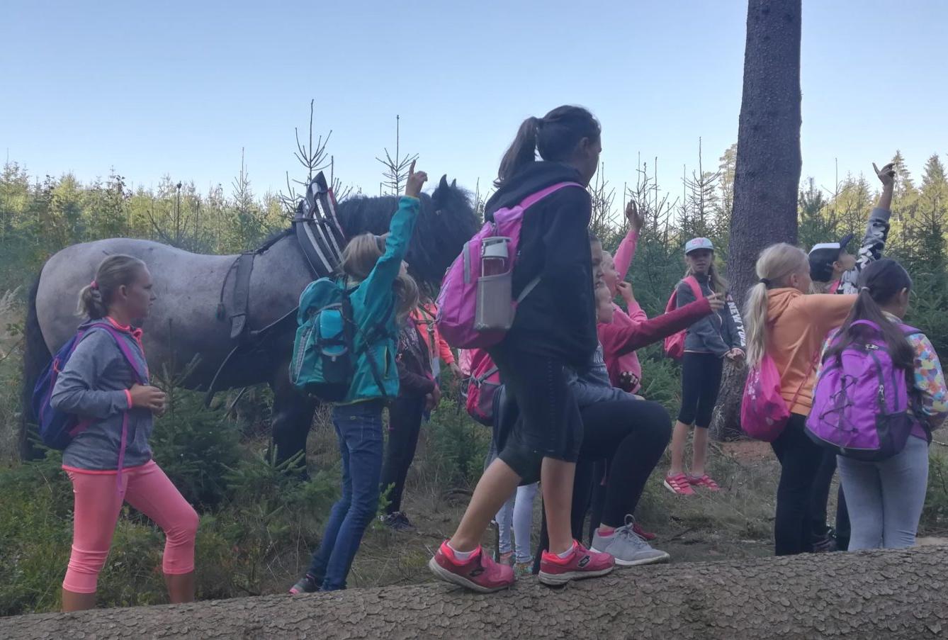 Do lesa s lesníkem - 29