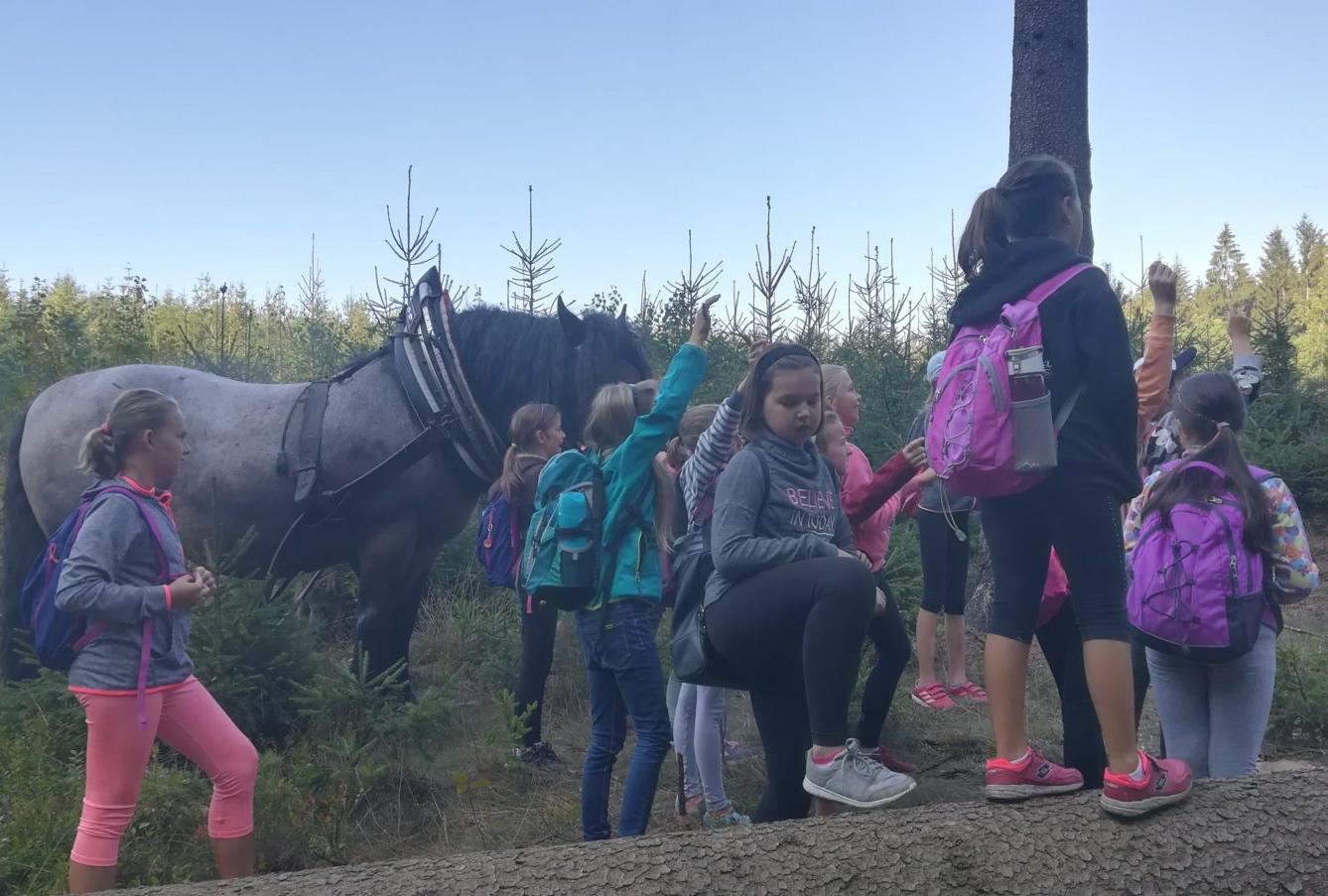 Do lesa s lesníkem - 30