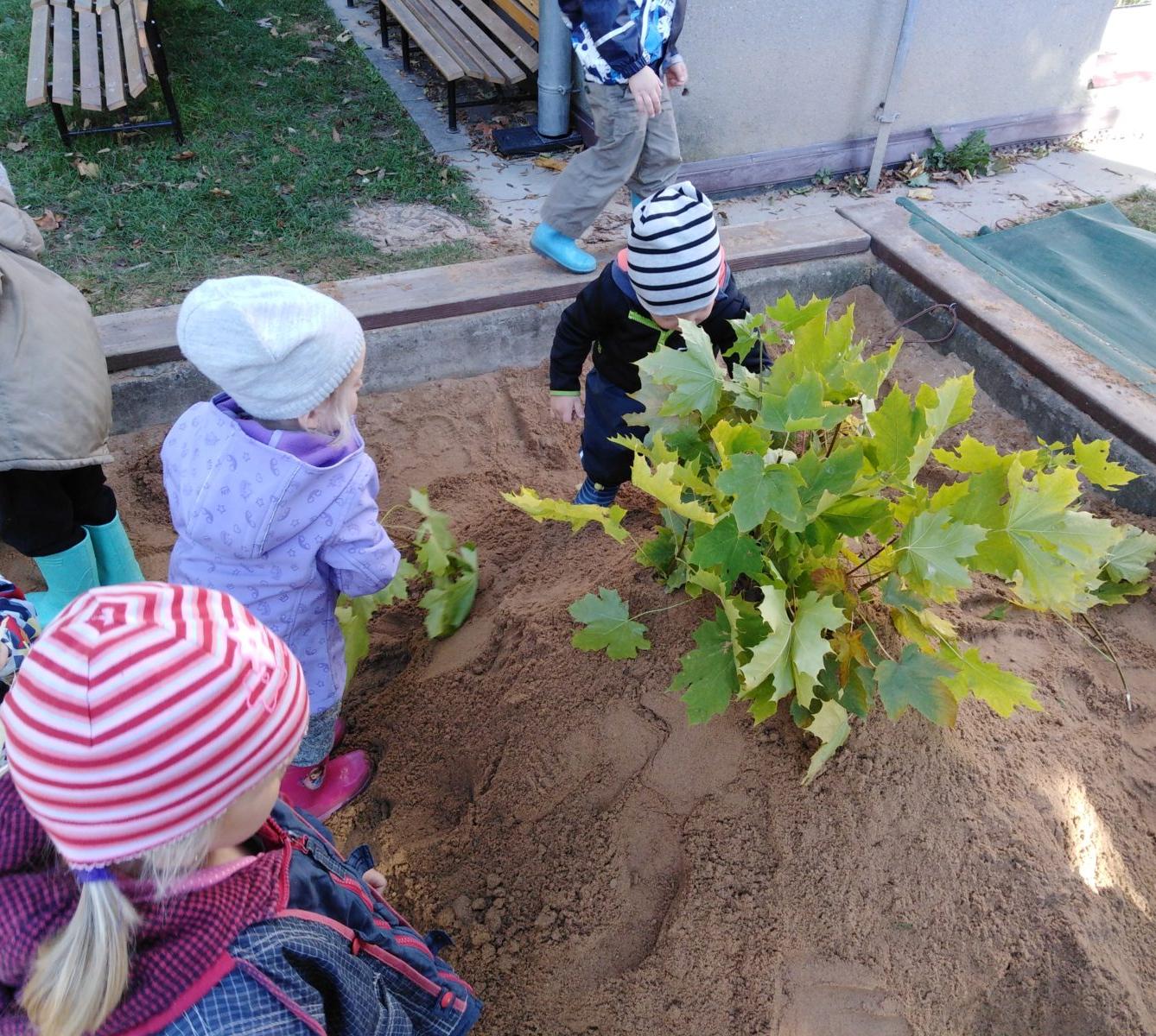 UŽÍVÁME SI ZAHRADY - 12