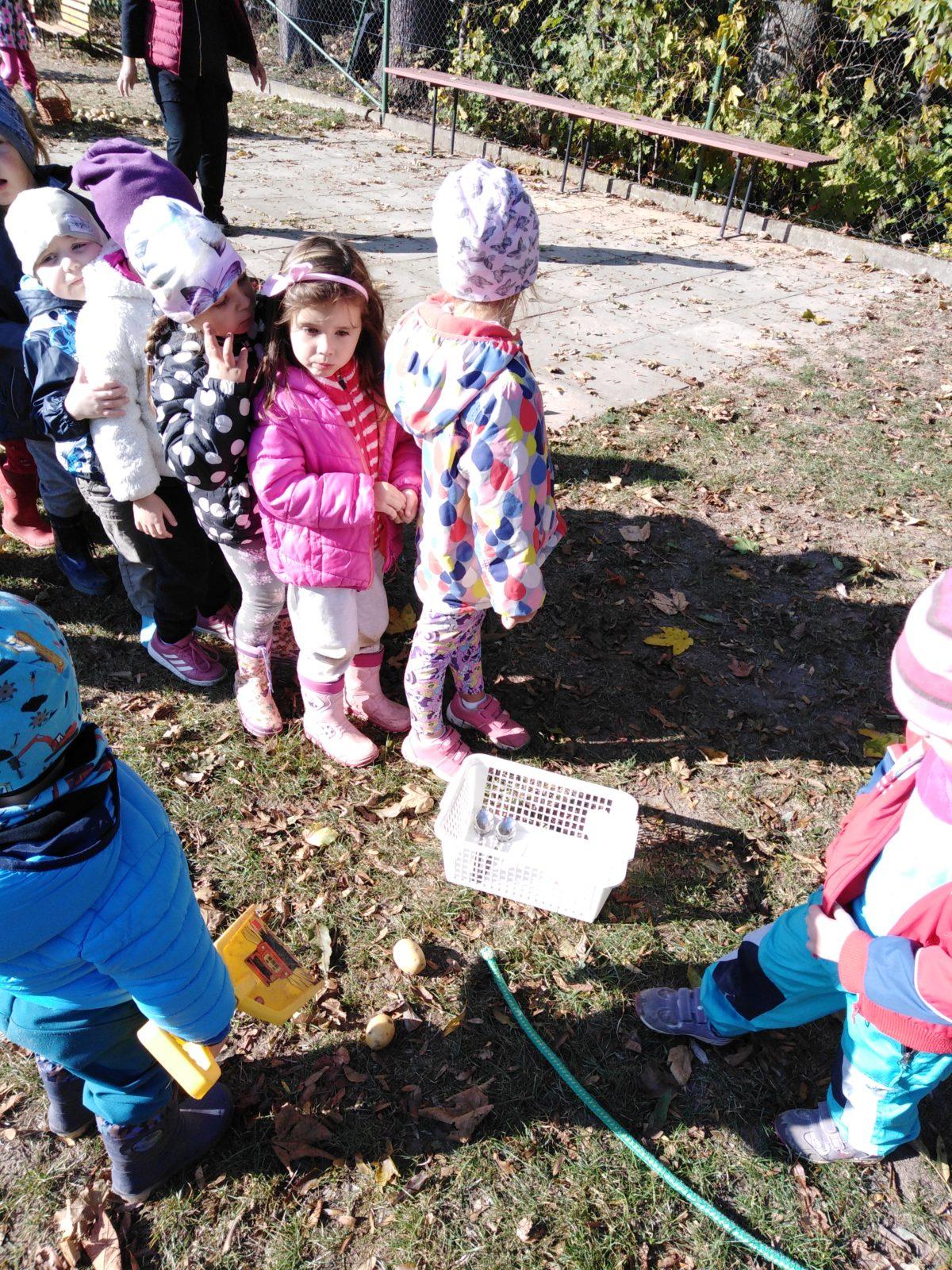 UŽÍVÁME SI ZAHRADY - 18