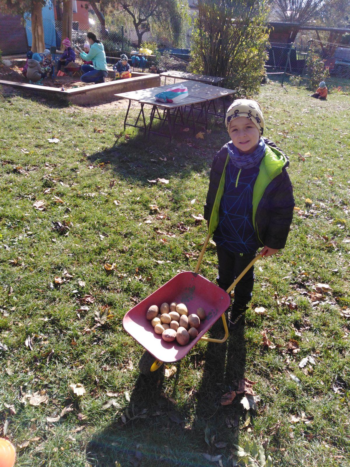 UŽÍVÁME SI ZAHRADY - 19