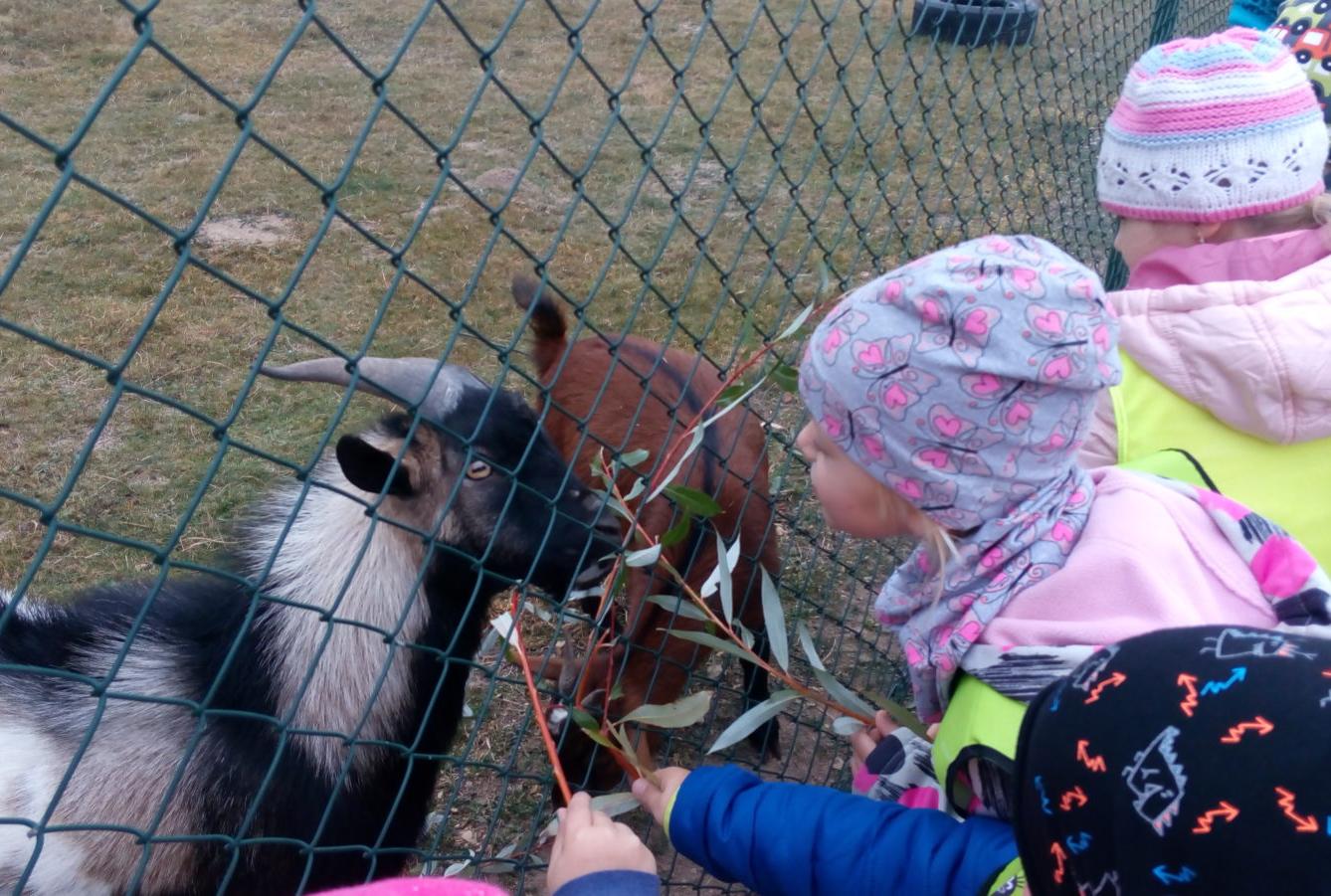 podzim u Klokánků I.- malujeme, tvoříme, hrajeme si - 70