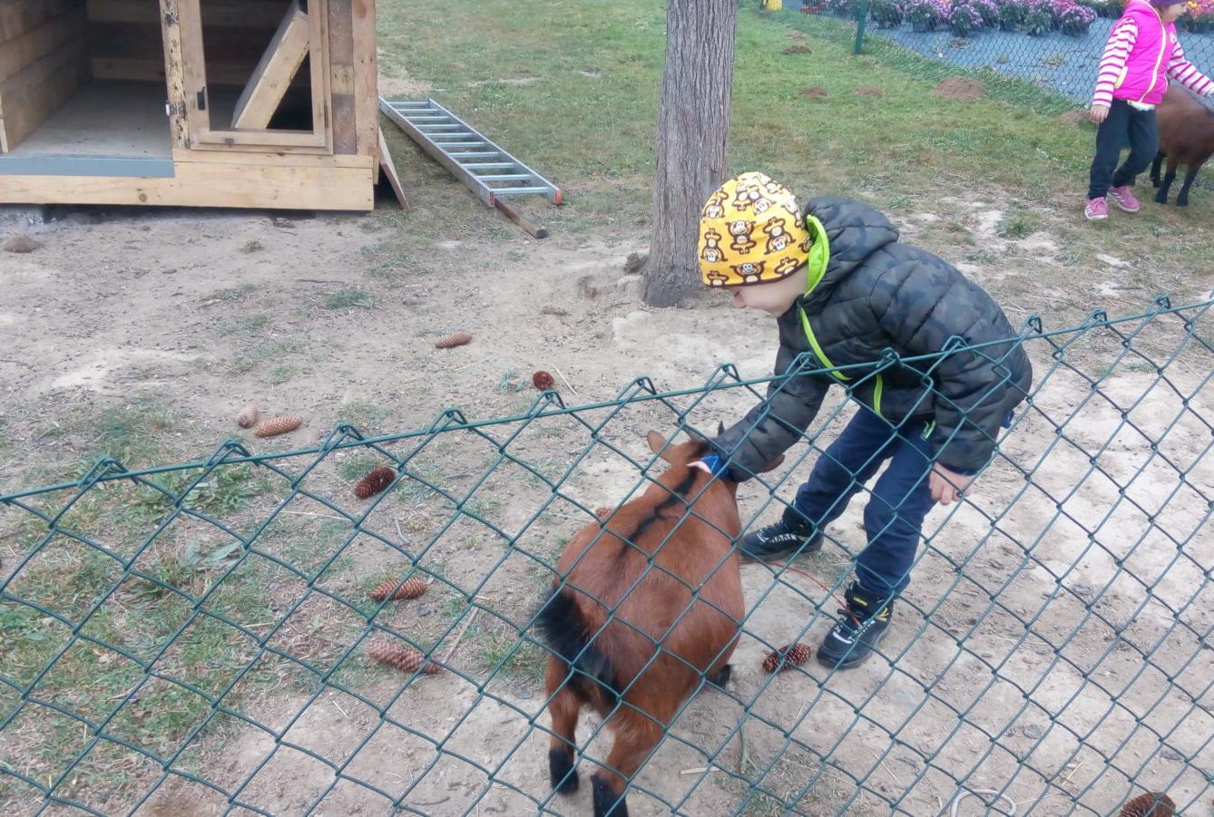 podzim u Klokánků I.- malujeme, tvoříme, hrajeme si - 71
