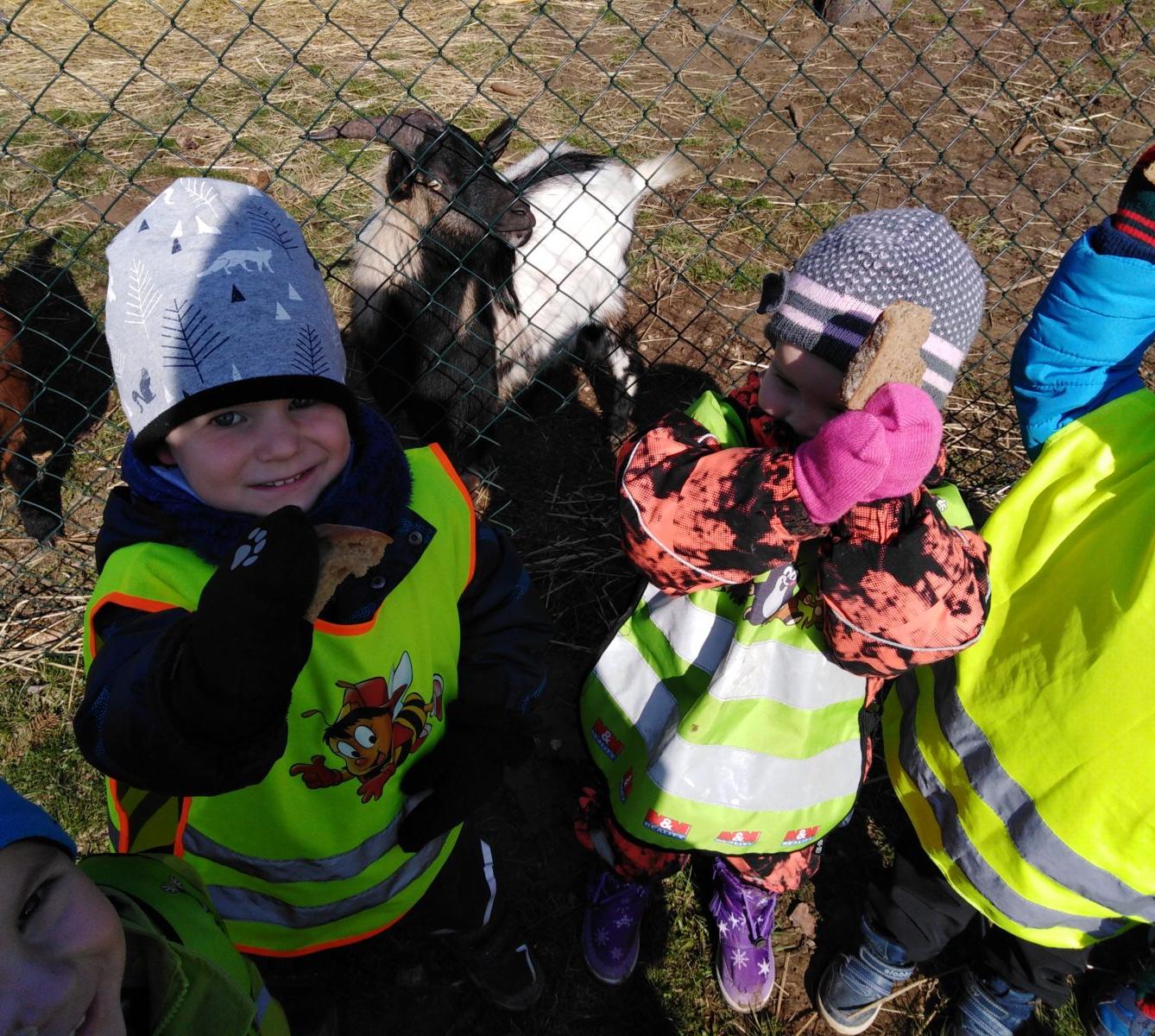 Máme rádi zvířata II.: kozičky - 14