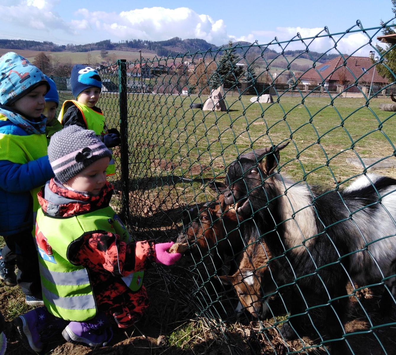 Máme rádi zvířata II.: kozičky - 22