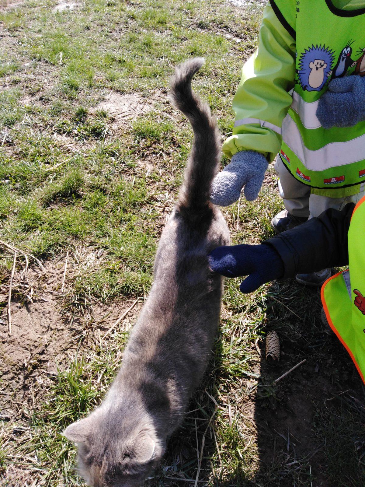 Máme rádi zvířata II.: kozičky - 24