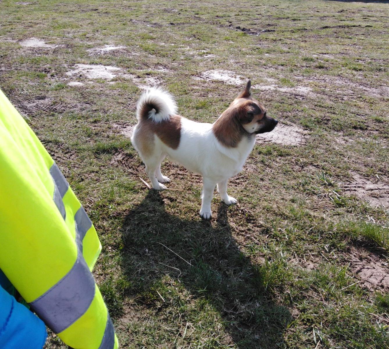 Máme rádi zvířata II.: kozičky - 26