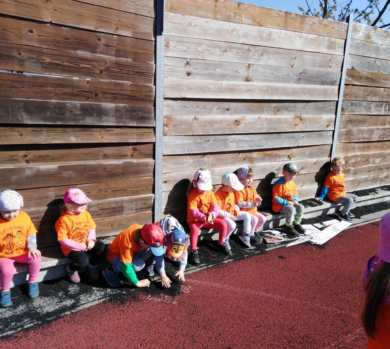 Sportovní hry na "UMĚLCE" - 1