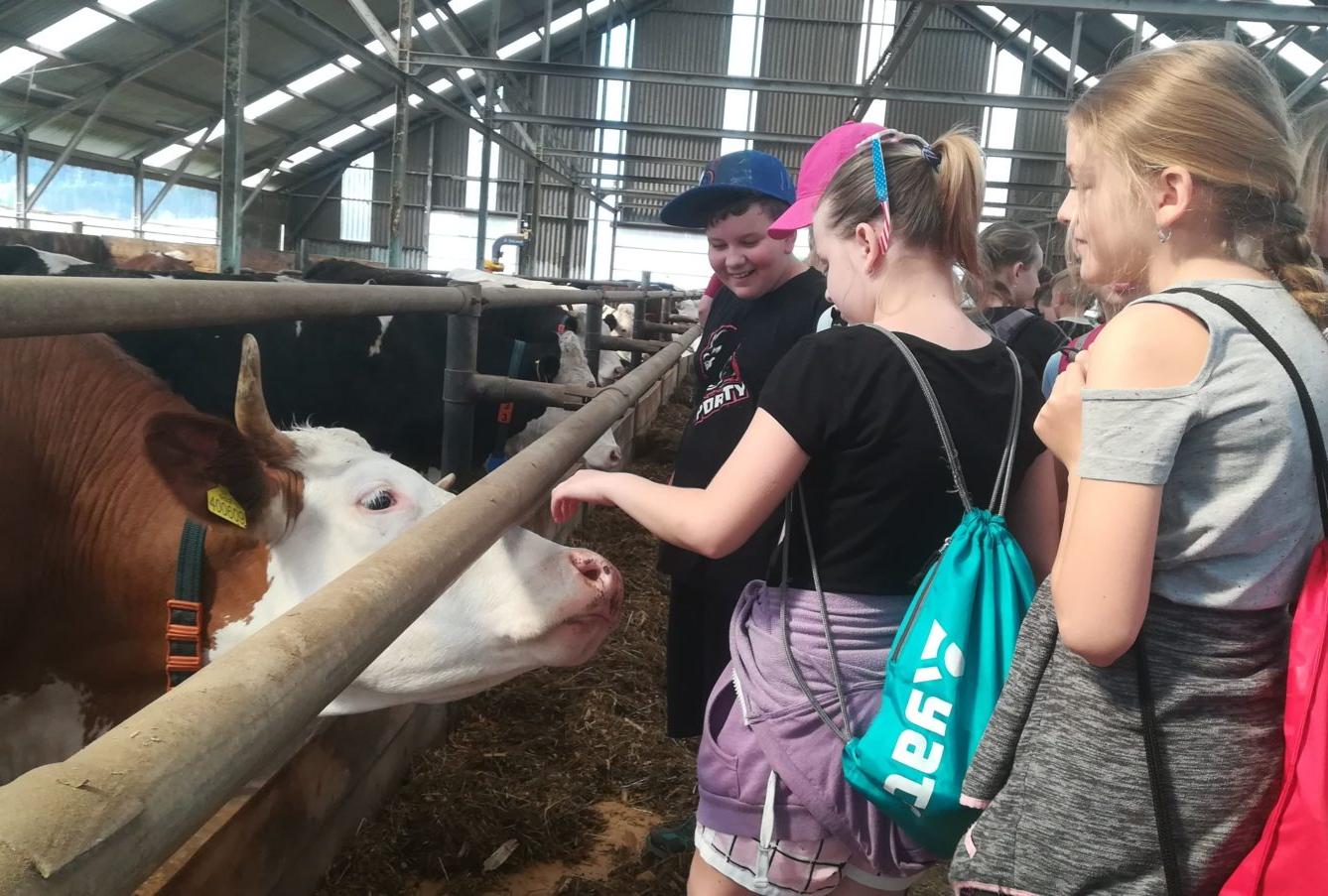 Den Země na 1. stupni ZŠ - 2