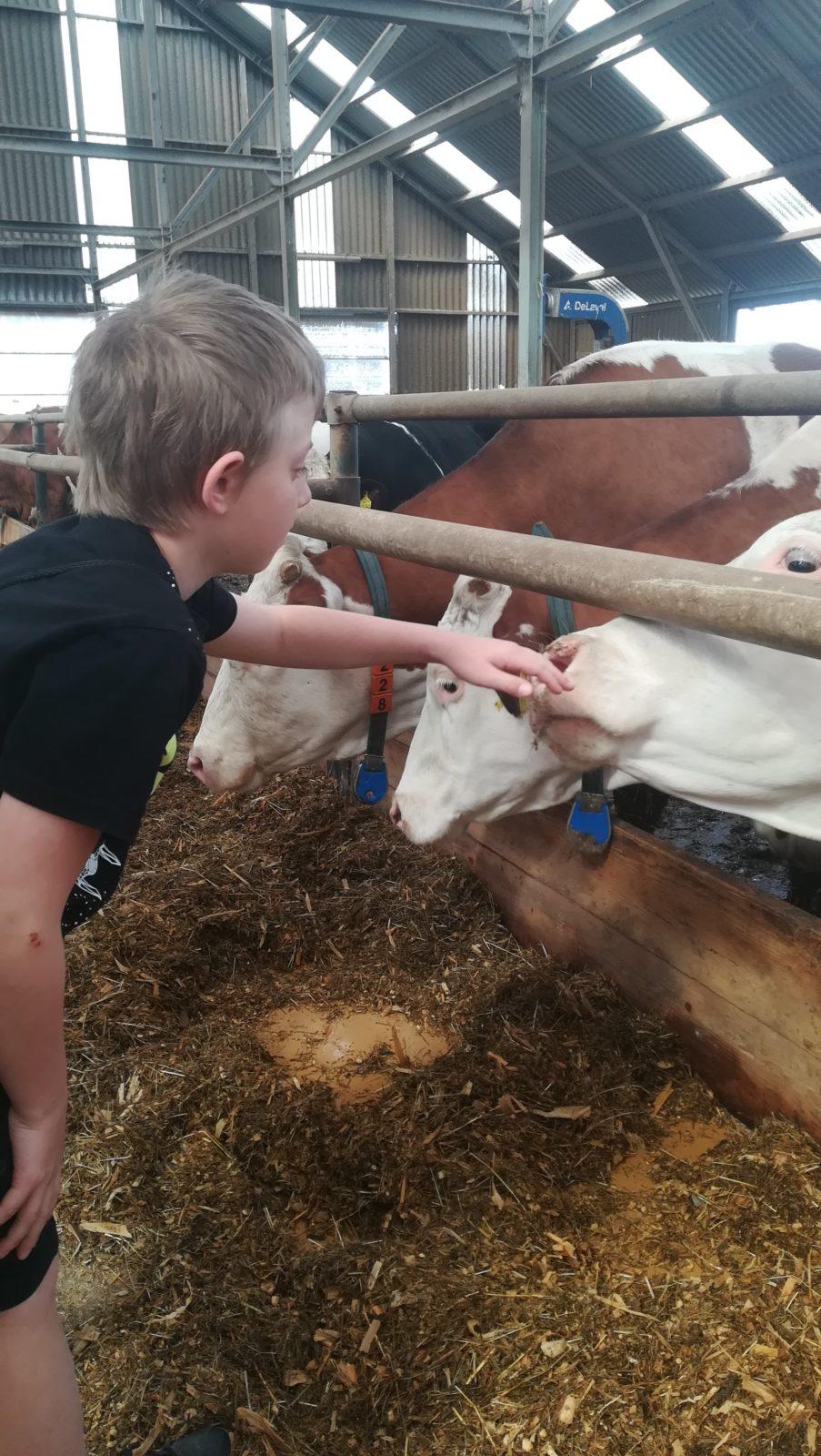 Den Země na 1. stupni ZŠ - 3