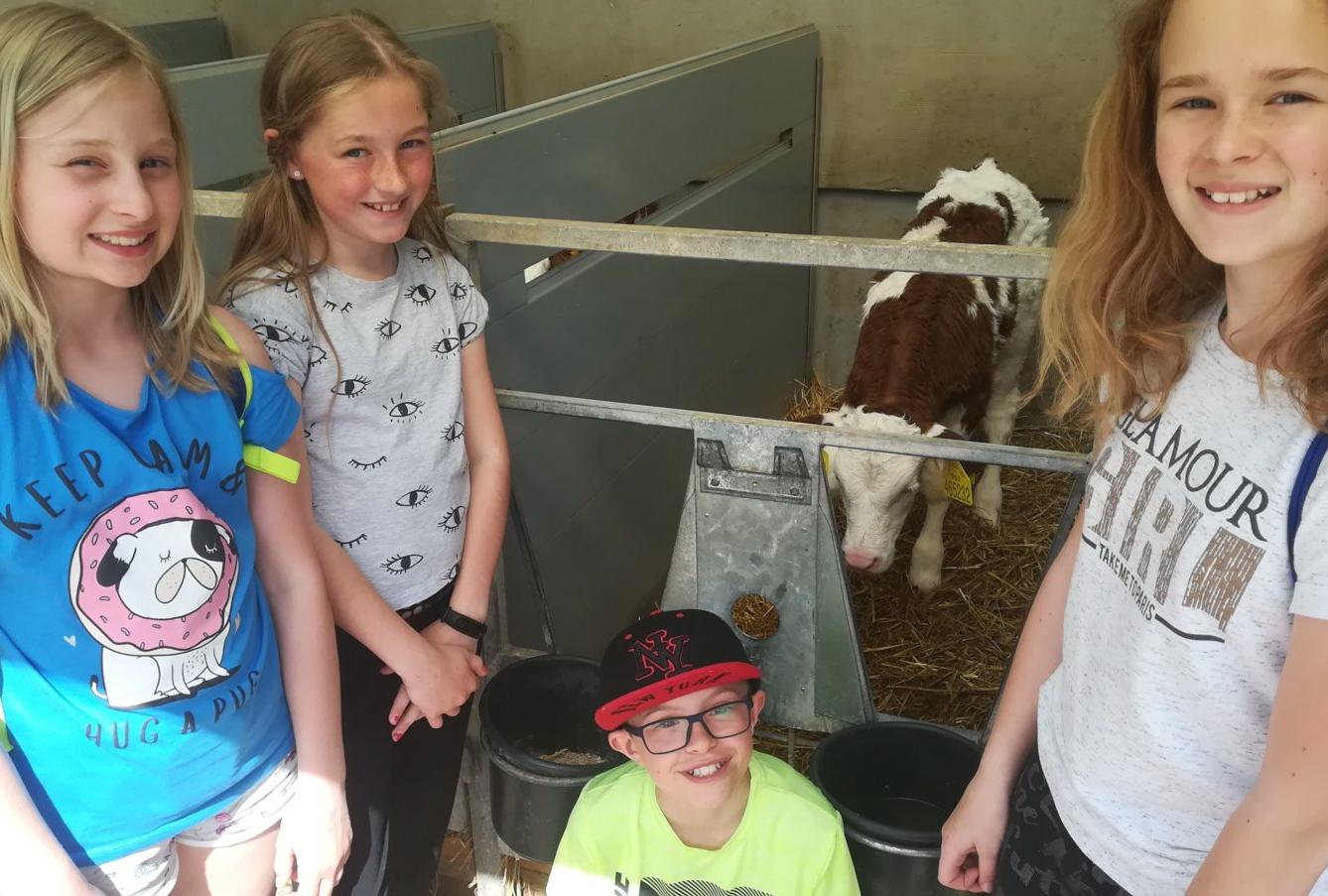 Den Země na 1. stupni ZŠ - 5