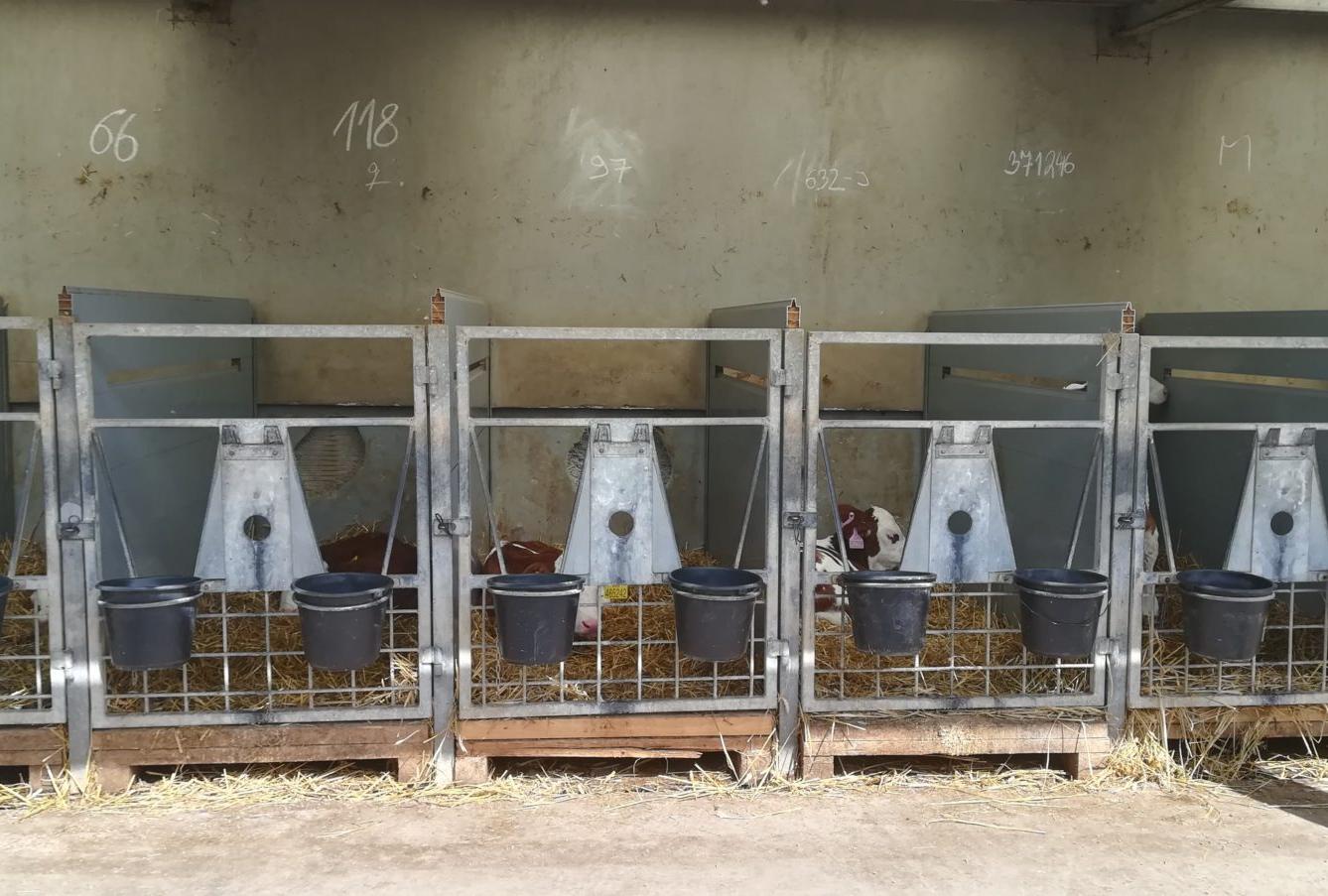 Den Země na 1. stupni ZŠ - 6