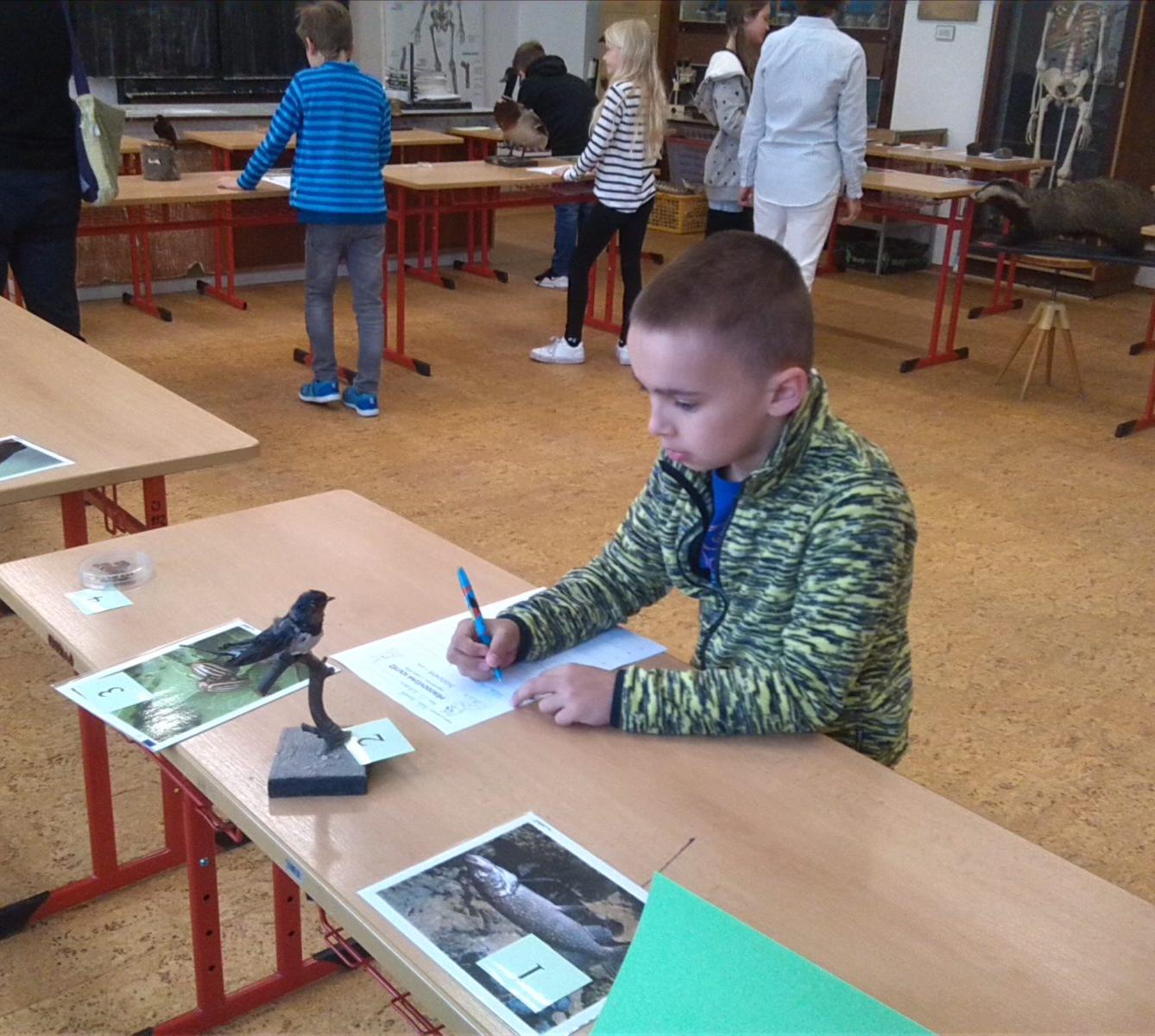 Přírodovědná soutěž v České Třebové - I. stupeň - 1