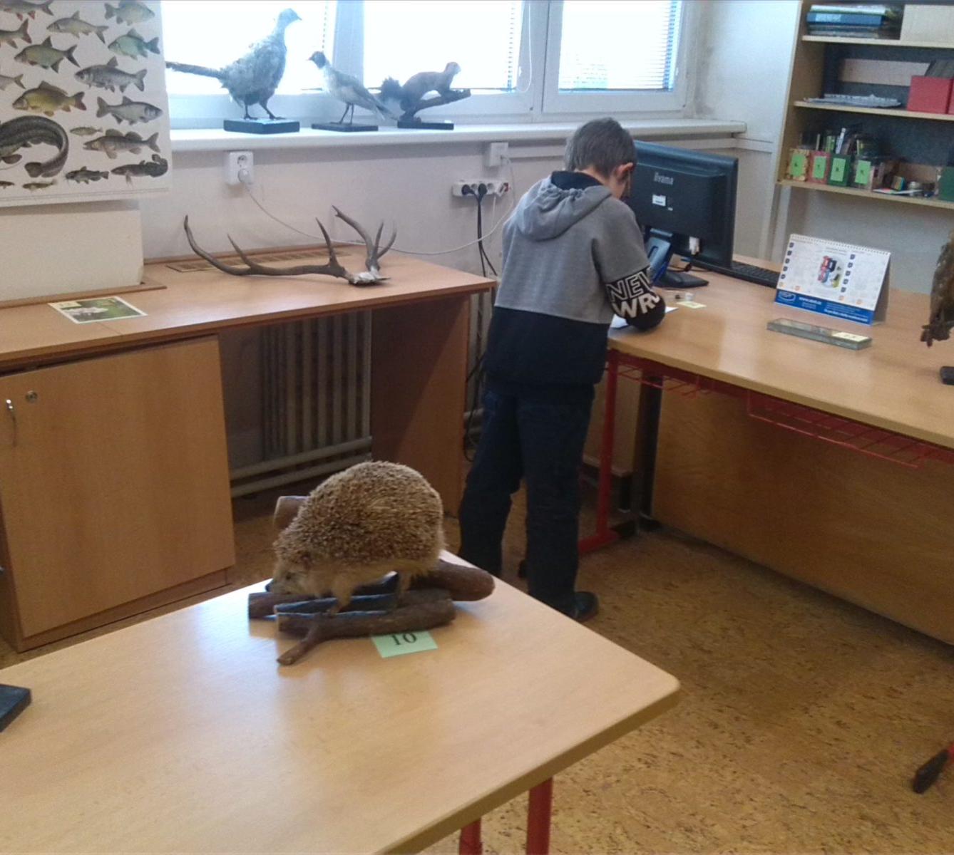 Přírodovědná soutěž v České Třebové - I. stupeň - 7