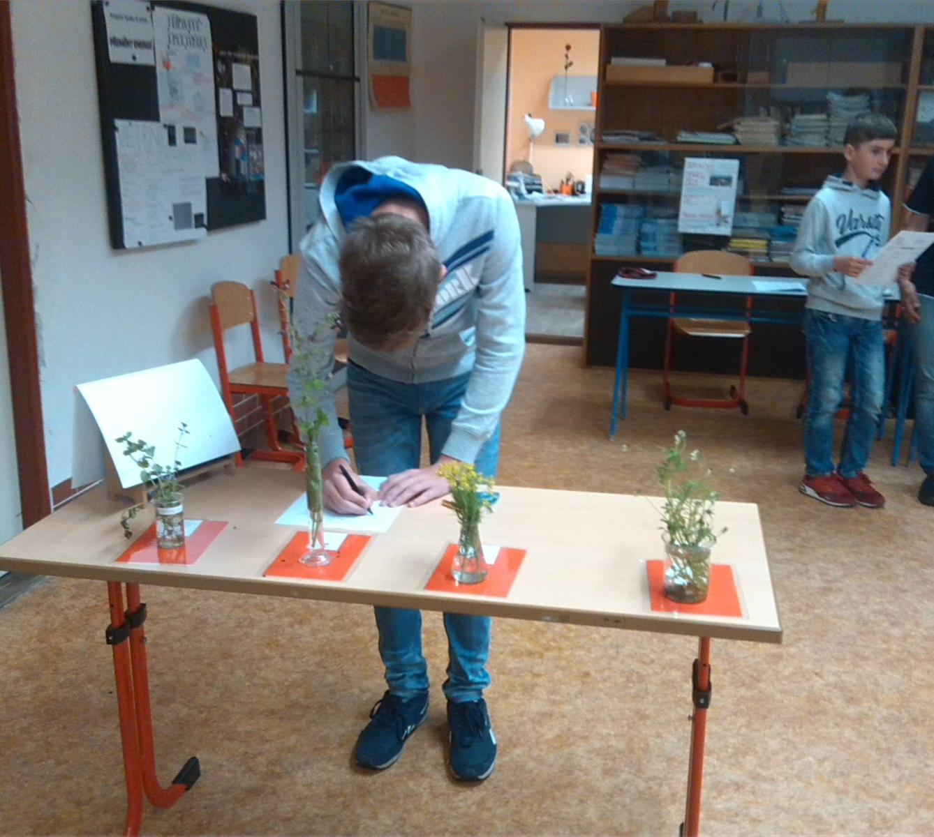 Poznávání přírodnin a minerálů - II. stupeň - 1