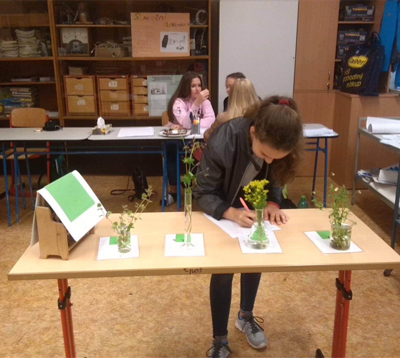 Poznávání přírodnin a minerálů - II. stupeň - 2