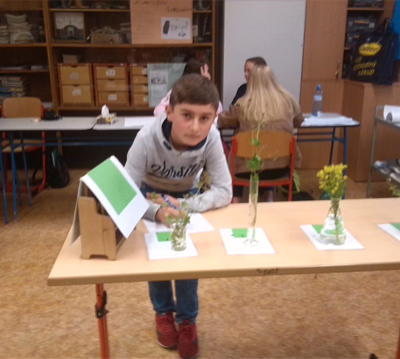 Poznávání přírodnin a minerálů - II. stupeň - 3