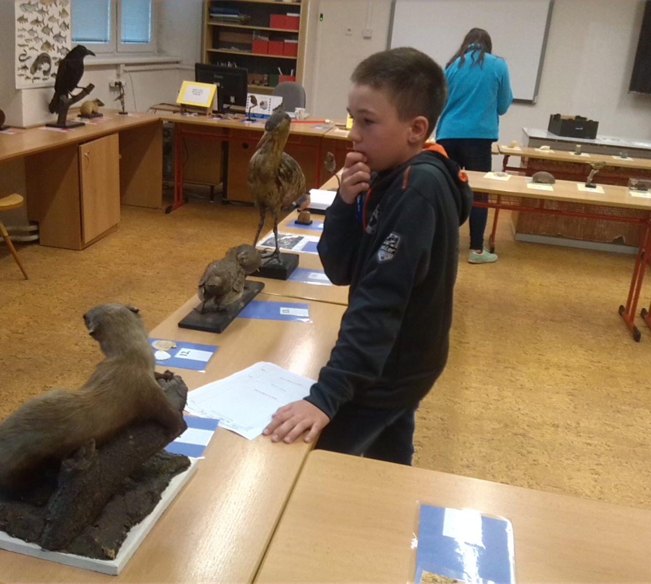 Poznávání přírodnin a minerálů - II. stupeň - 6