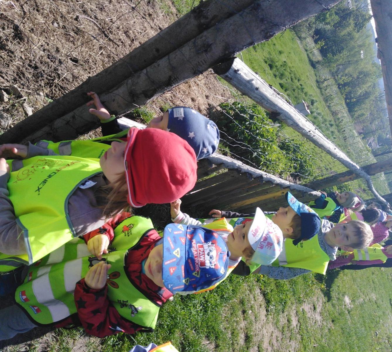 Vycházka za jeleny a návštěva lesní školky - 33